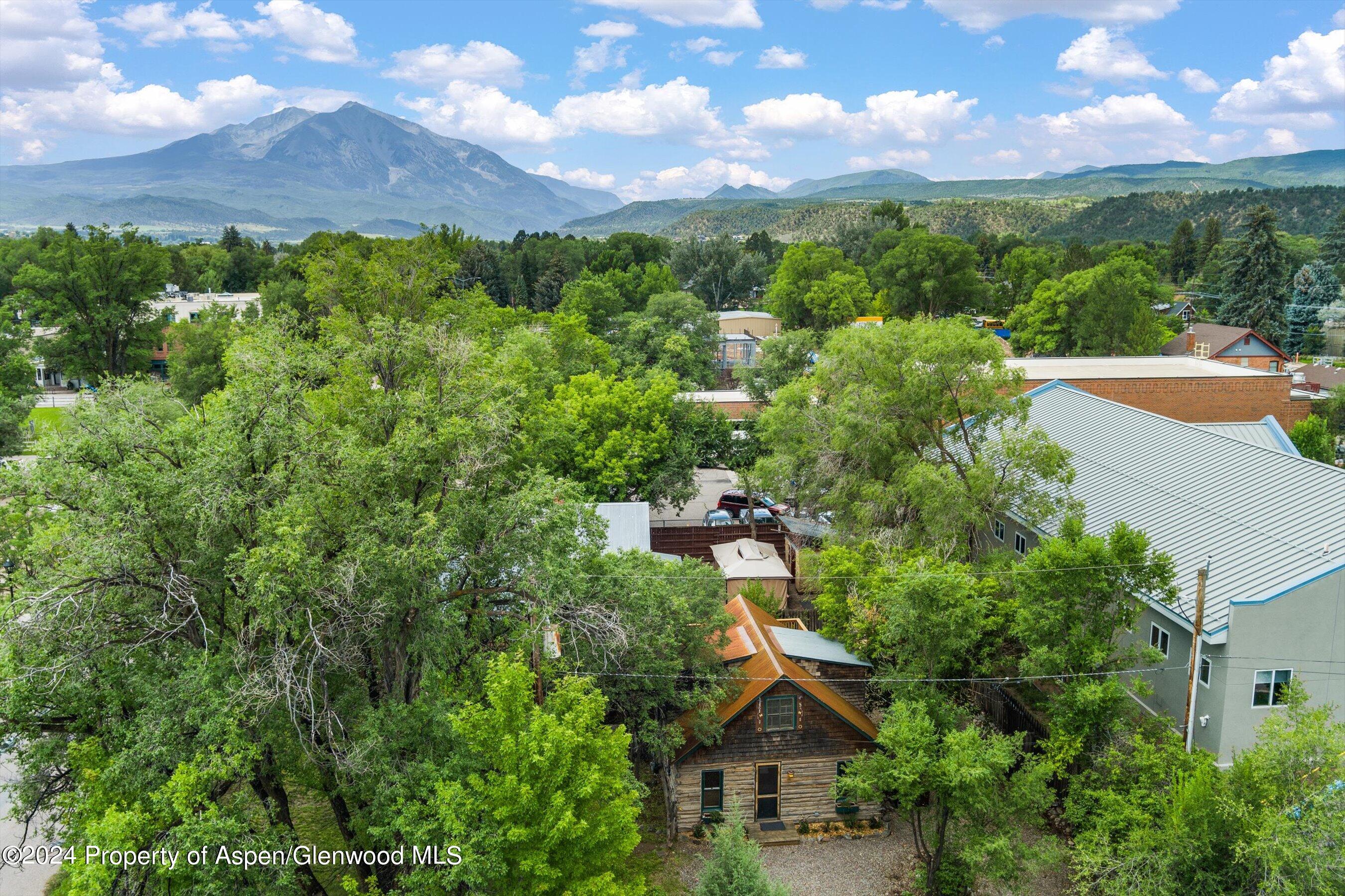 610 Colorado Avenue Carbondale CO 81623