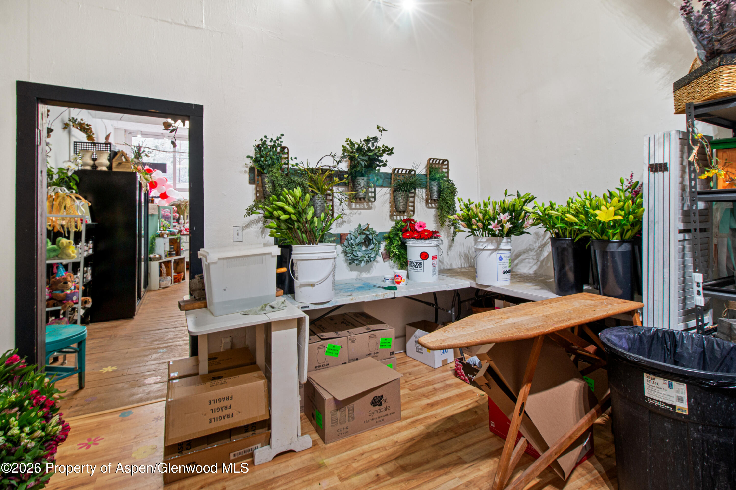 303 W Main Street New Castle CO 81647