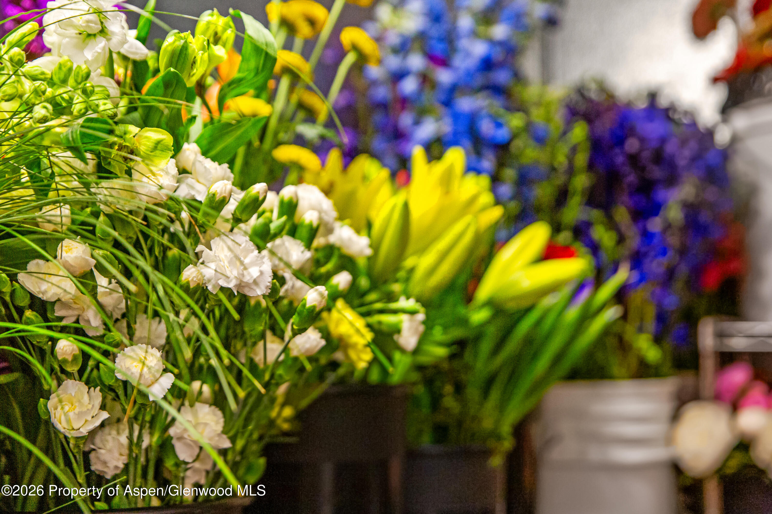 303 W Main Street New Castle CO 81647