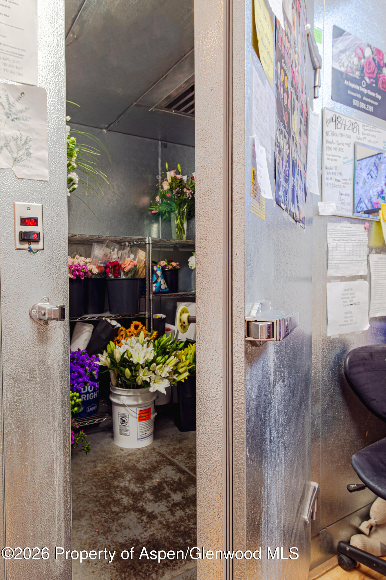 303 W Main Street New Castle CO 81647