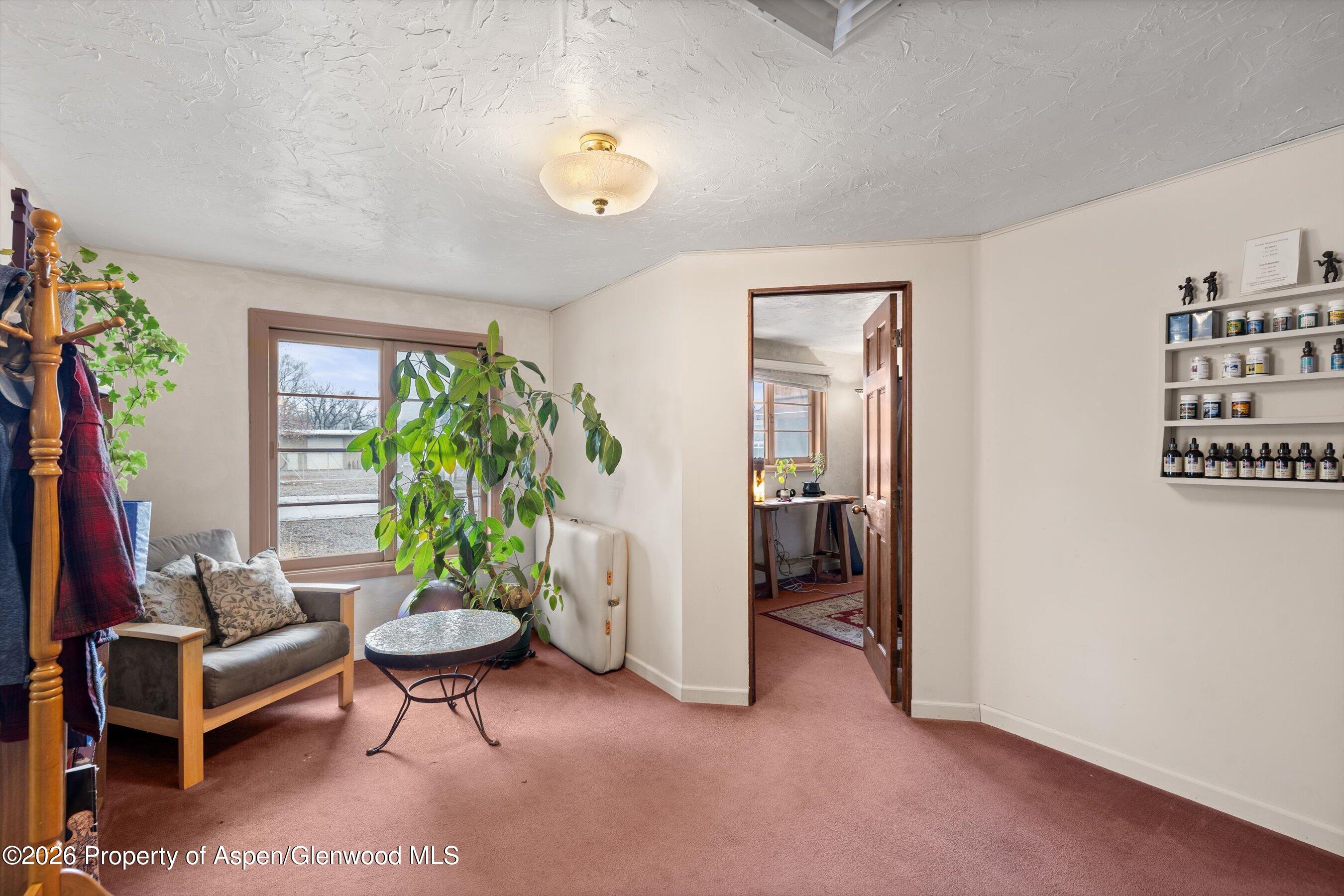 50,52,56 Weant Boulevard Carbondale CO 81623