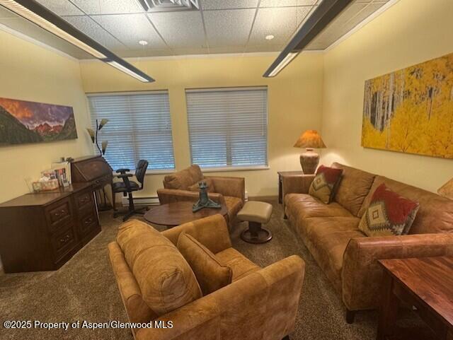 23286 Two Rivers Road Basalt CO 81621