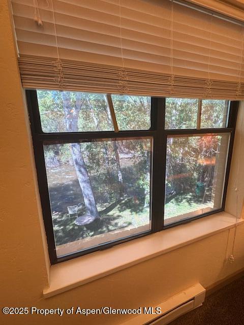 23286 Two Rivers Road Basalt CO 81621