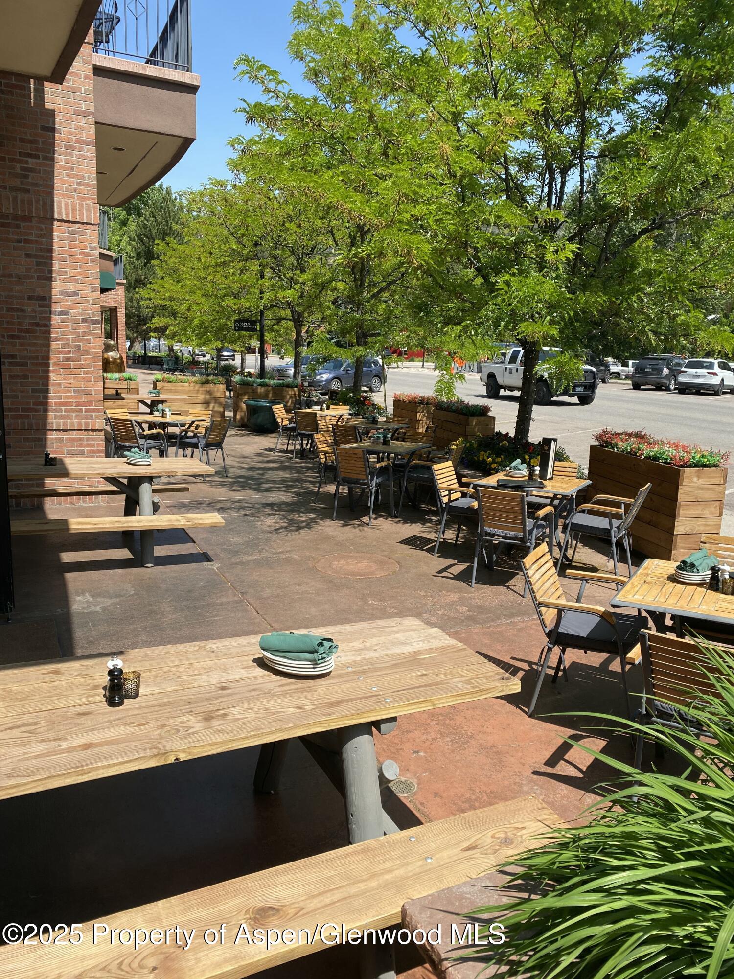 305 Gold Rivers Court Basalt CO 81621