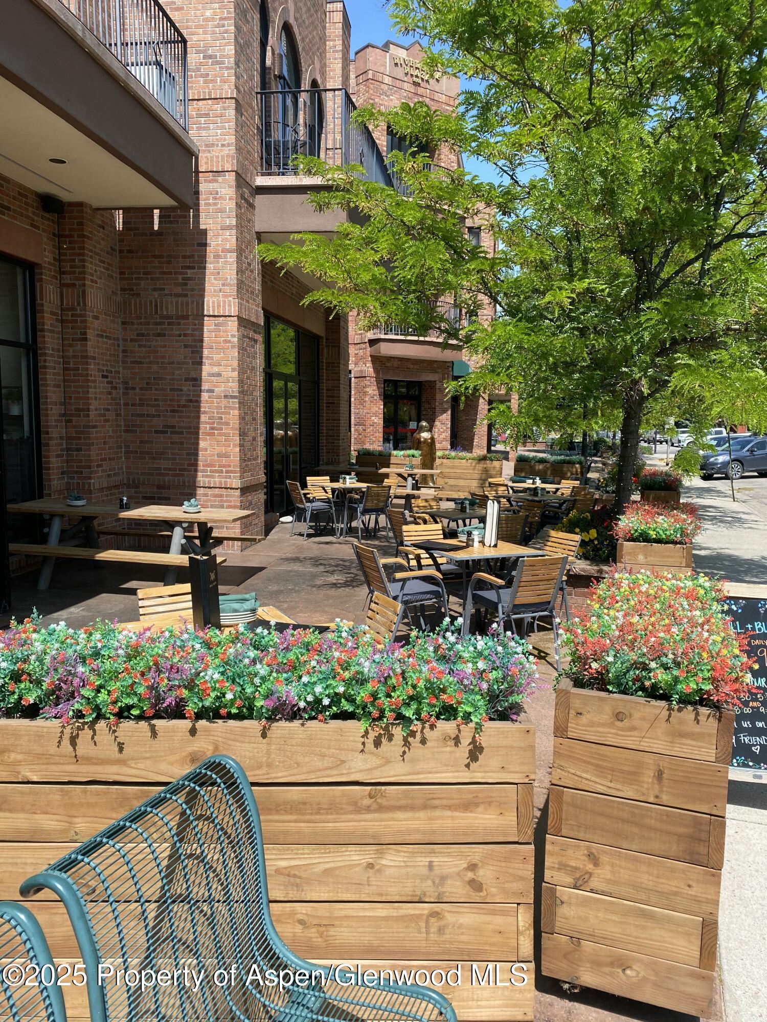 305 Gold Rivers Court Basalt CO 81621