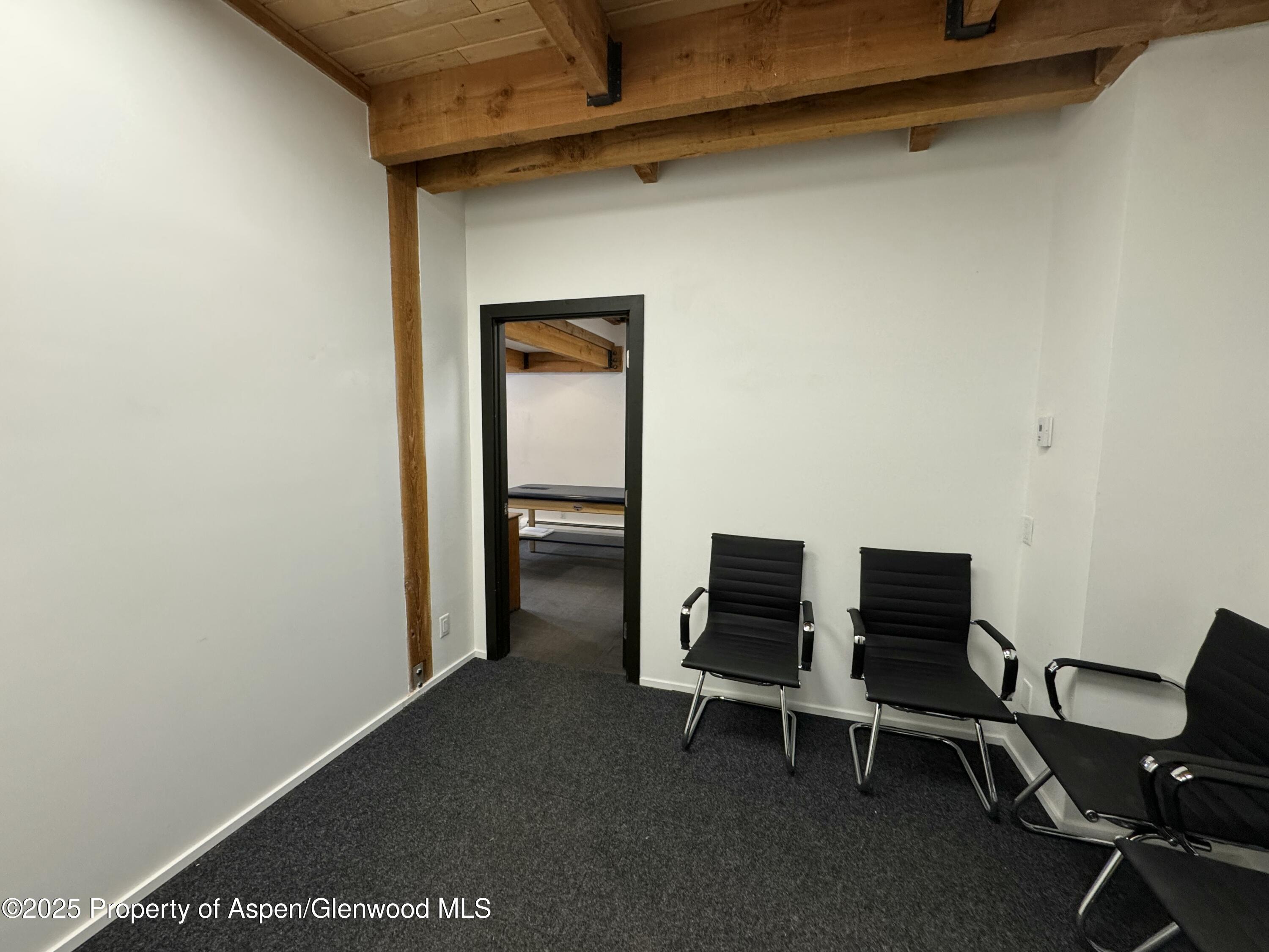 1280 Ute Avenue Aspen CO 81611