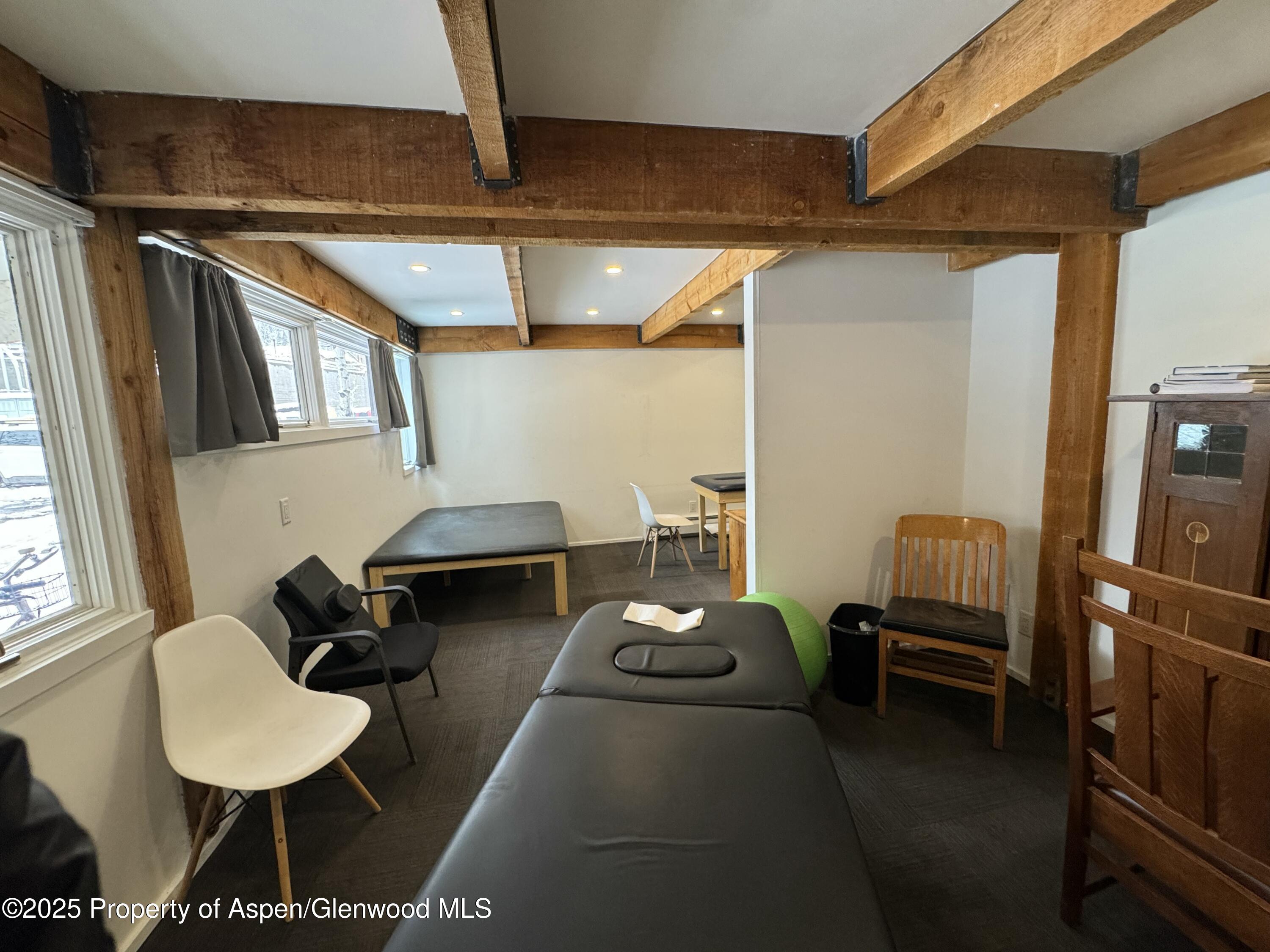 1280 Ute Avenue Aspen CO 81611