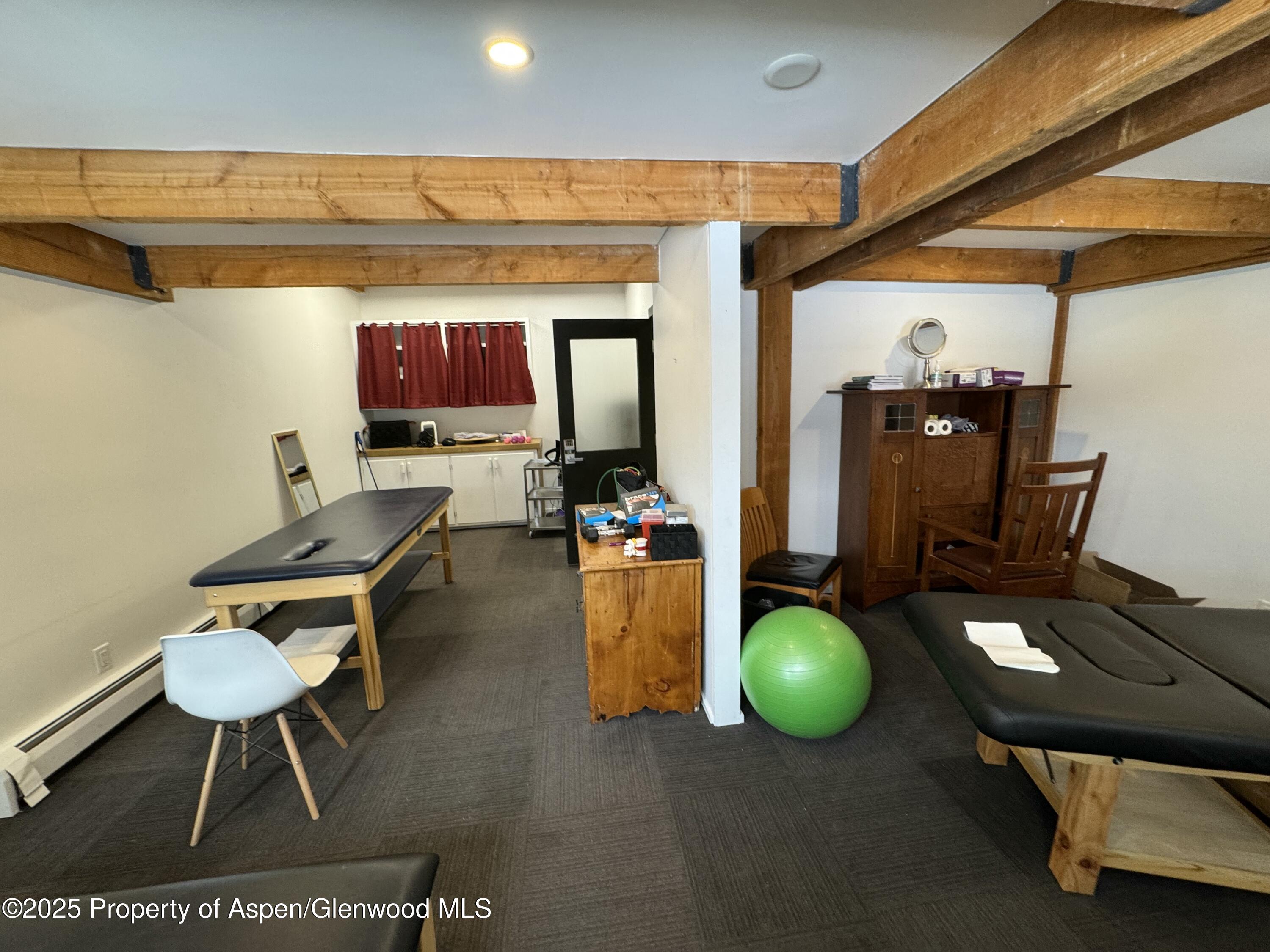 1280 Ute Avenue Aspen CO 81611