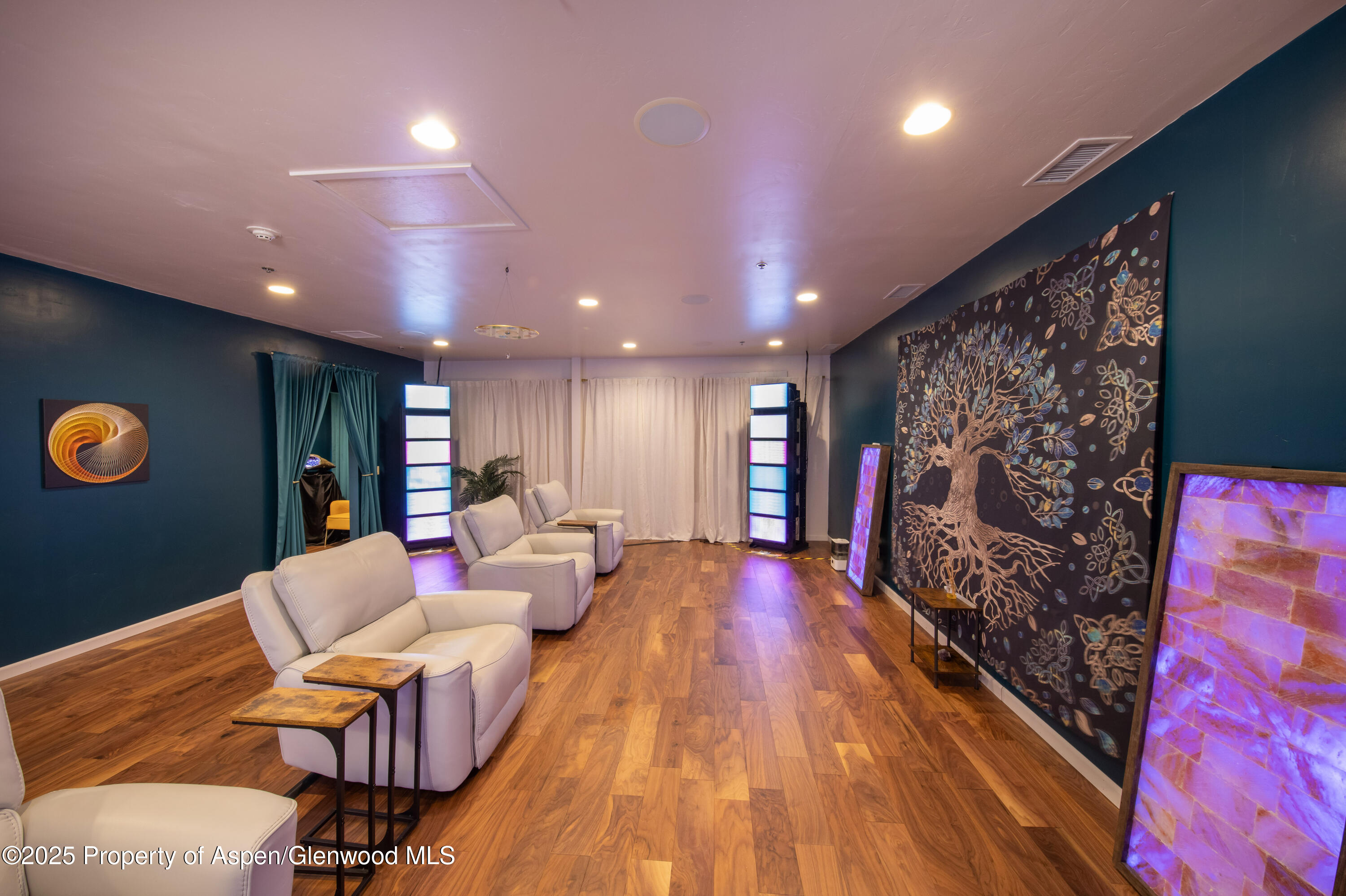 711 E Valley Road Basalt CO 81621