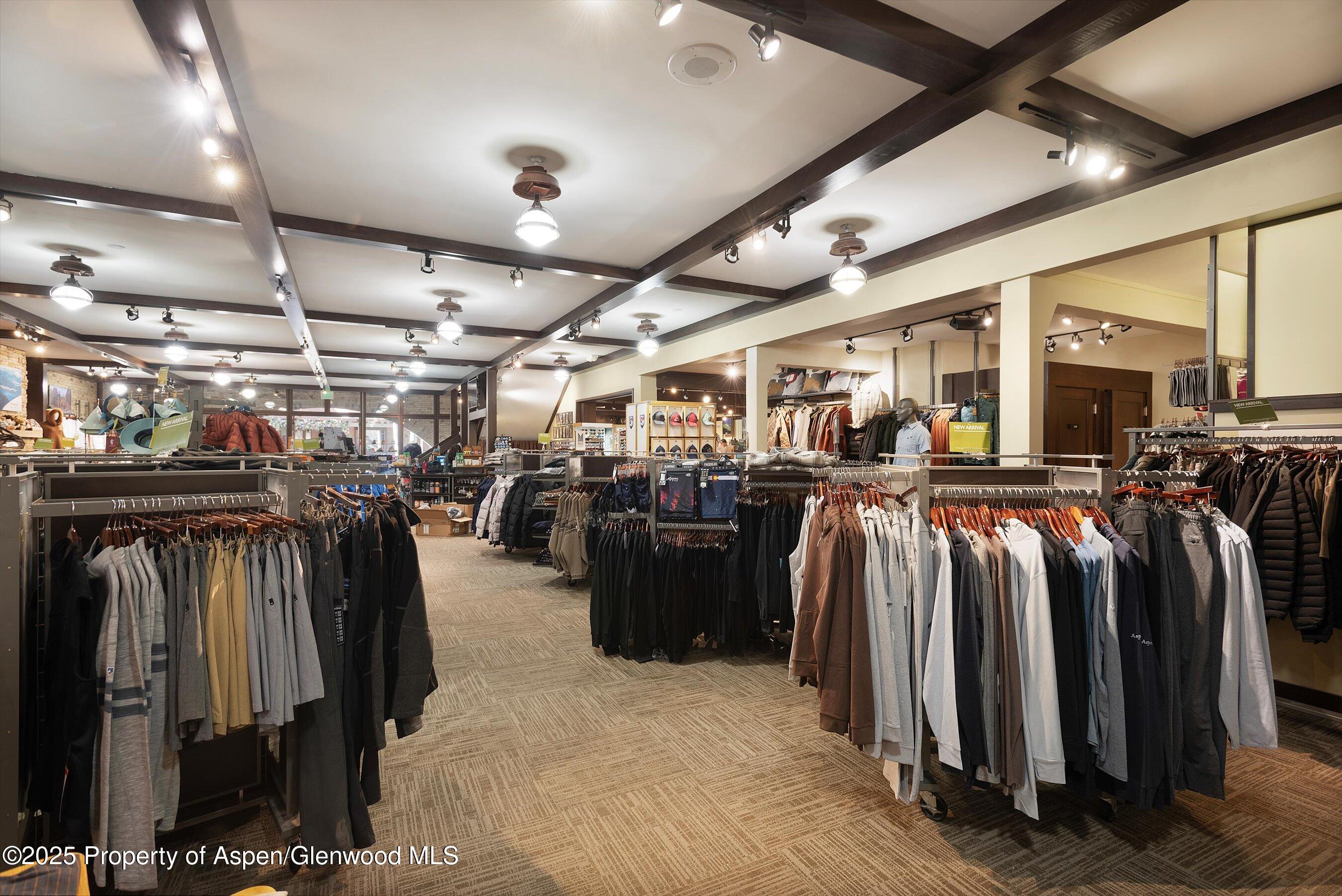 408 E Cooper Avenue Aspen CO 81611