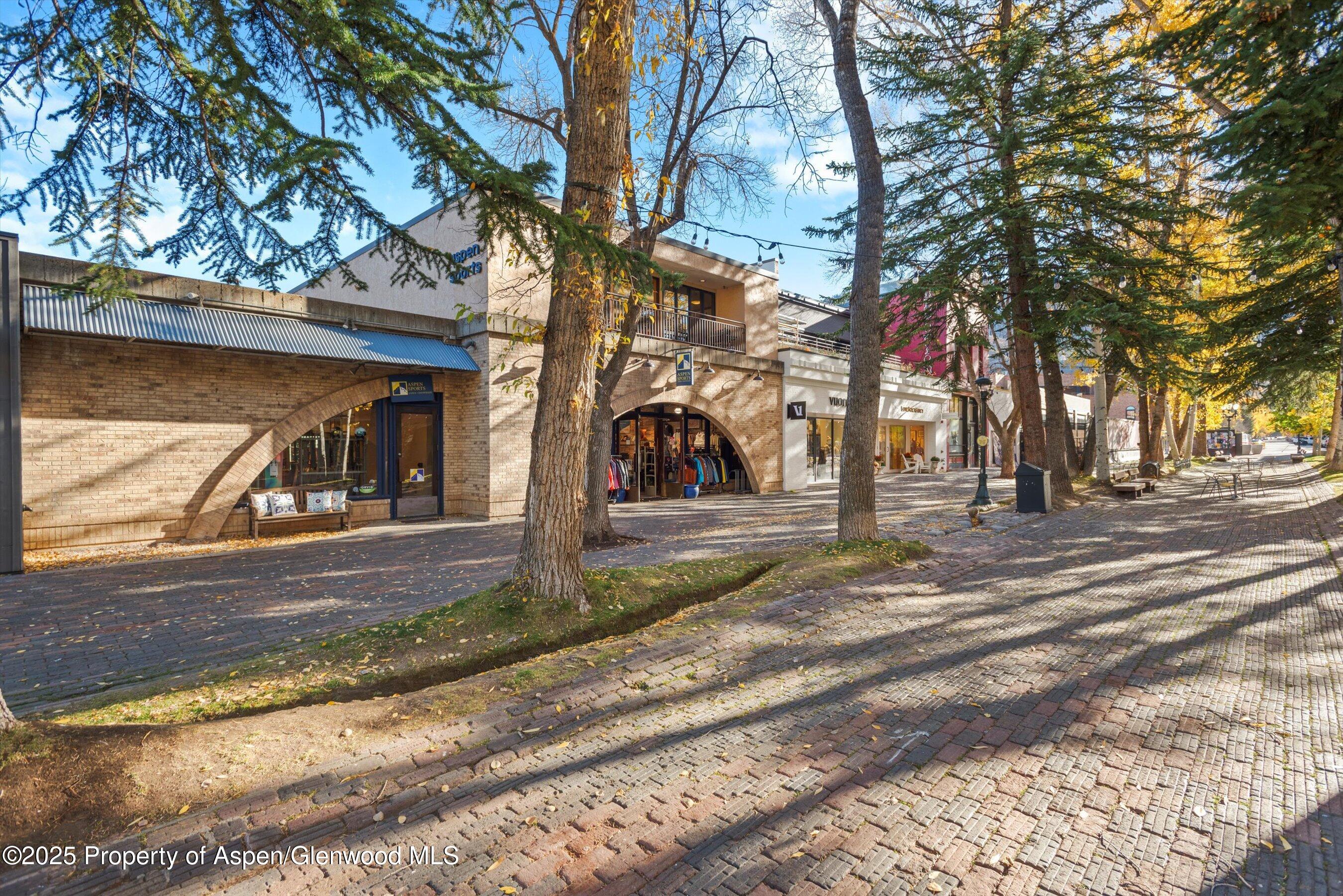 408 E Cooper Avenue Aspen CO 81611