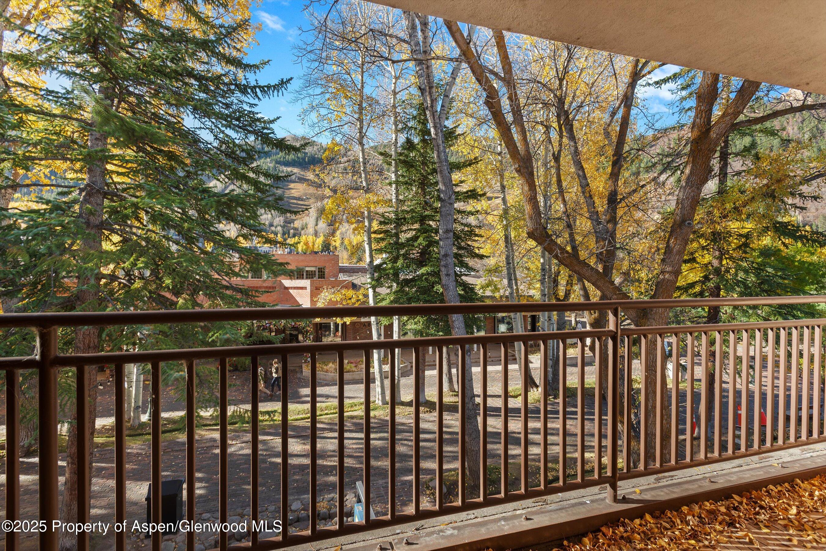 408 E Cooper Avenue Aspen CO 81611