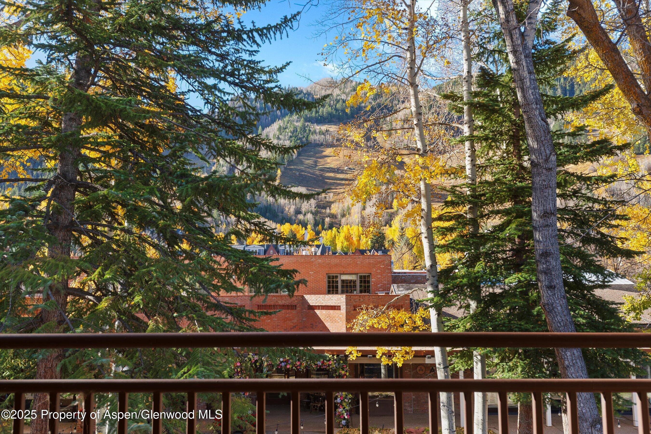 408 E Cooper Avenue Aspen CO 81611