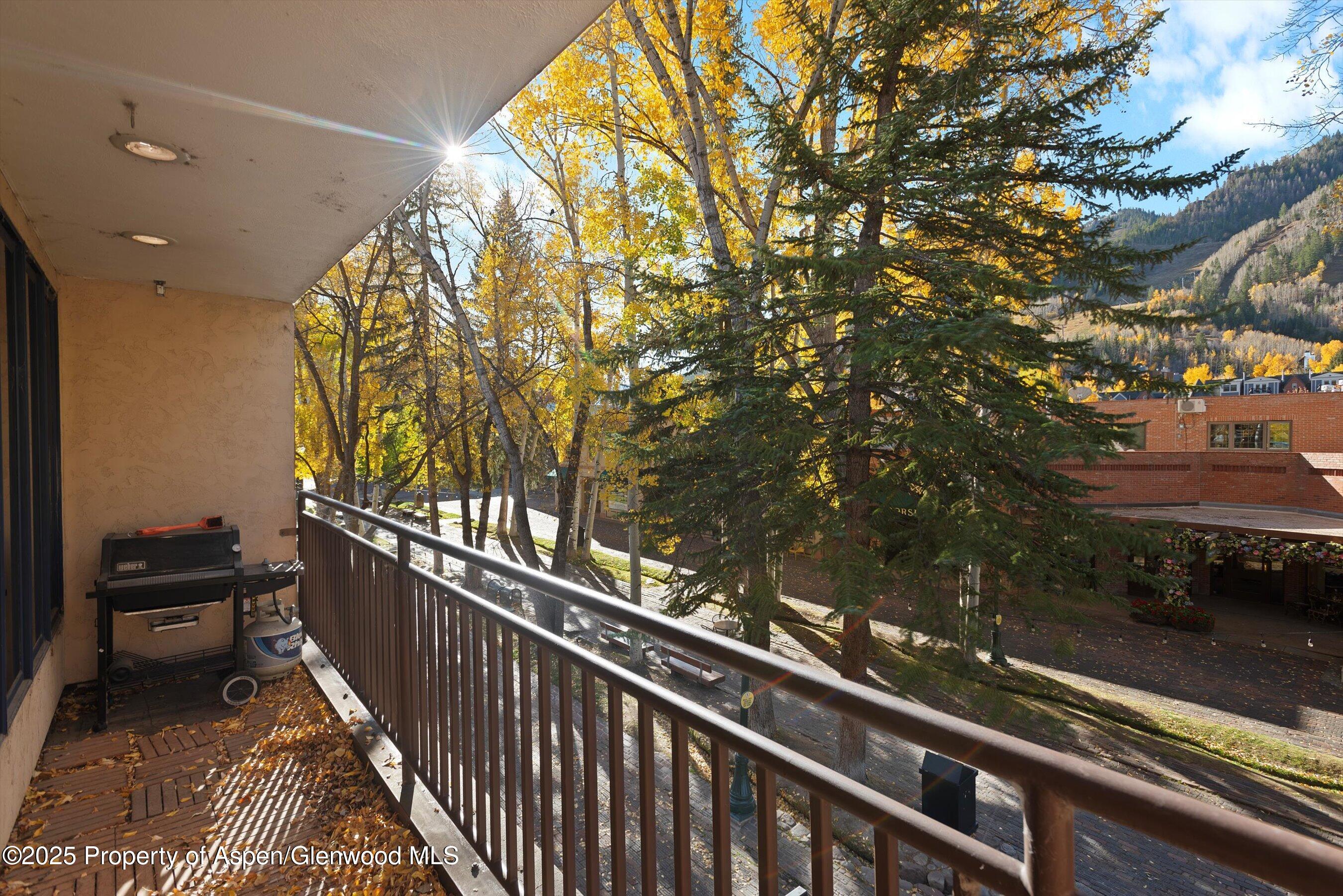 408 E Cooper Avenue Aspen CO 81611