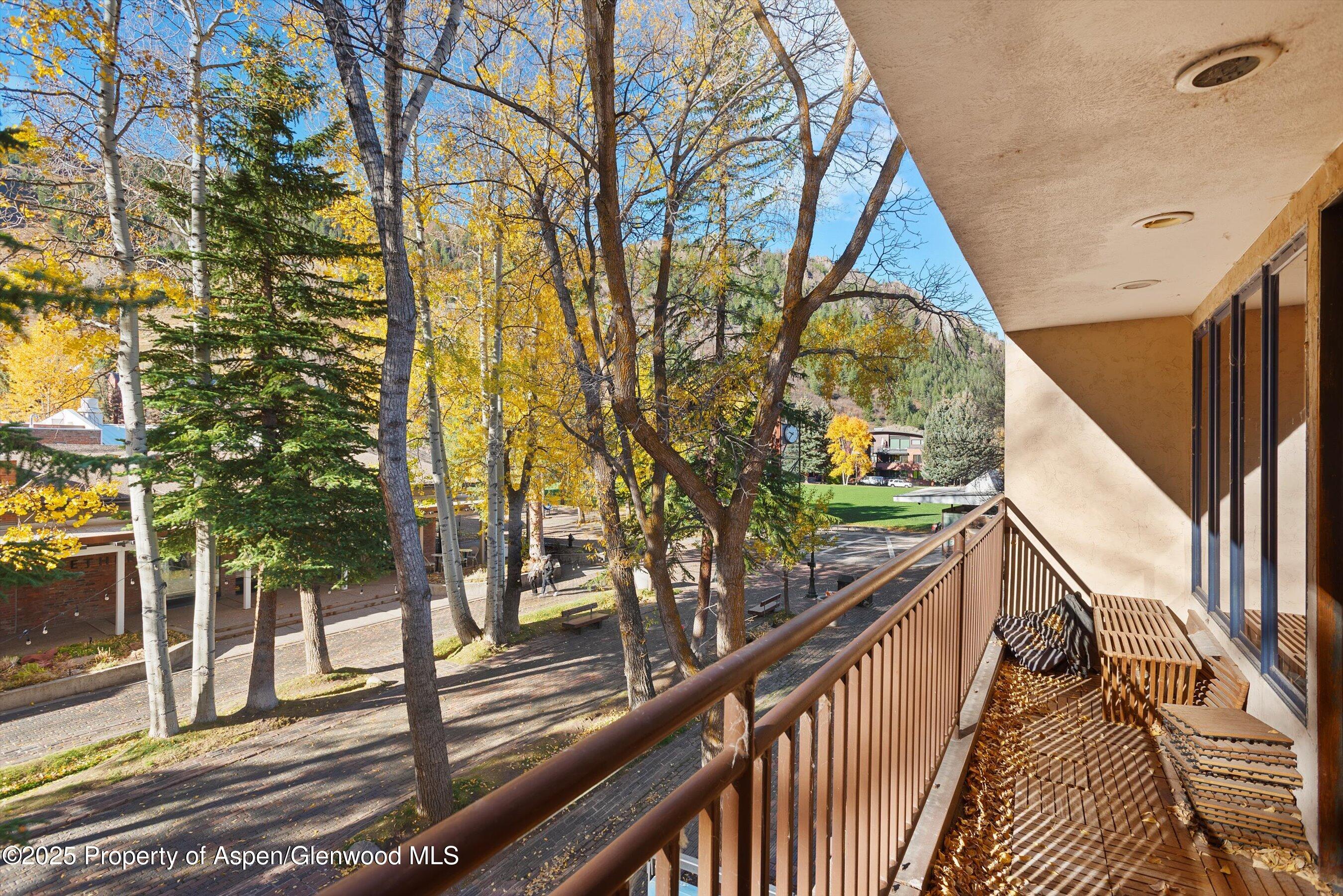 408 E Cooper Avenue Aspen CO 81611