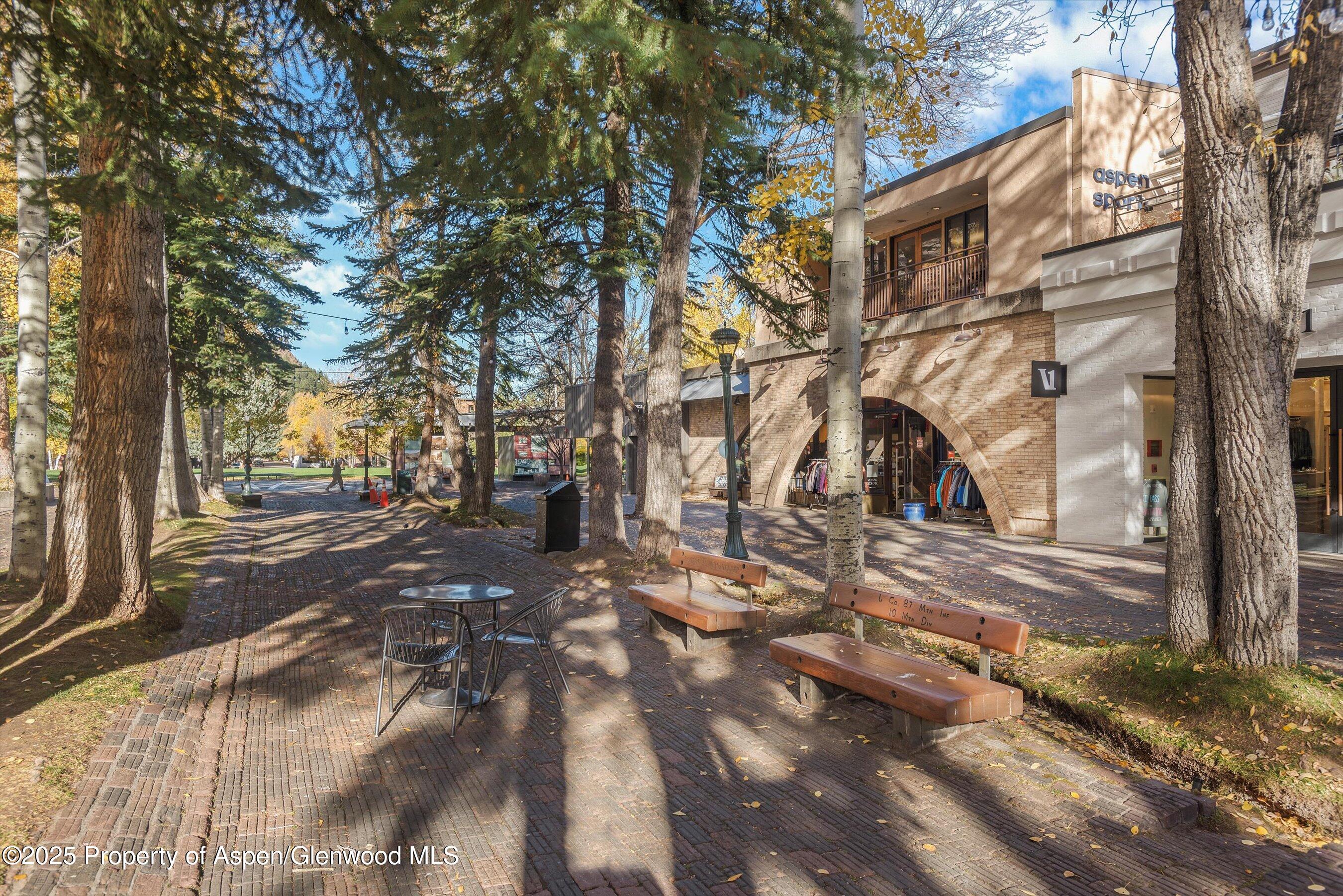408 E Cooper Avenue Aspen CO 81611