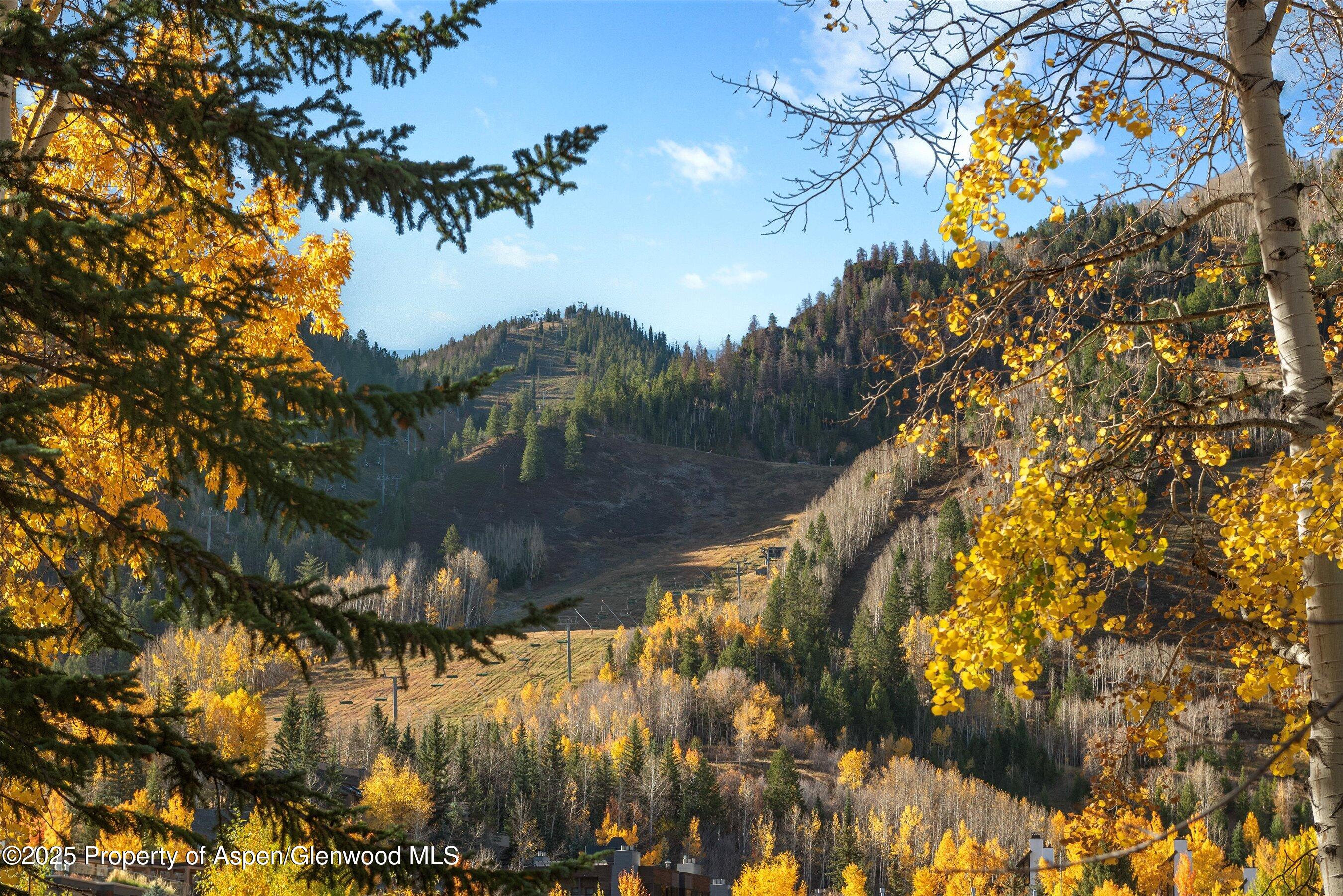 408 E Cooper Avenue Aspen CO 81611