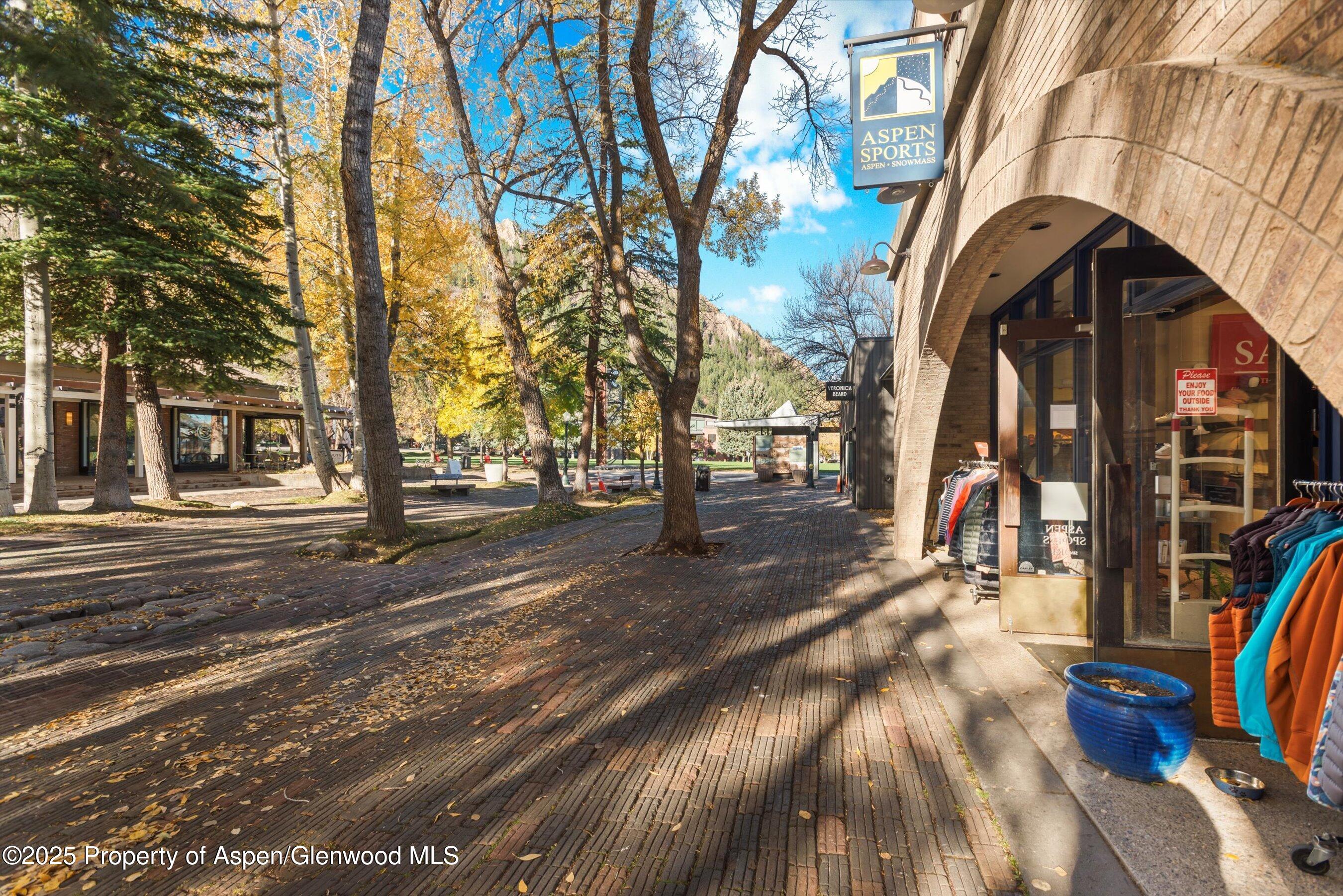 408 E Cooper Avenue Aspen CO 81611