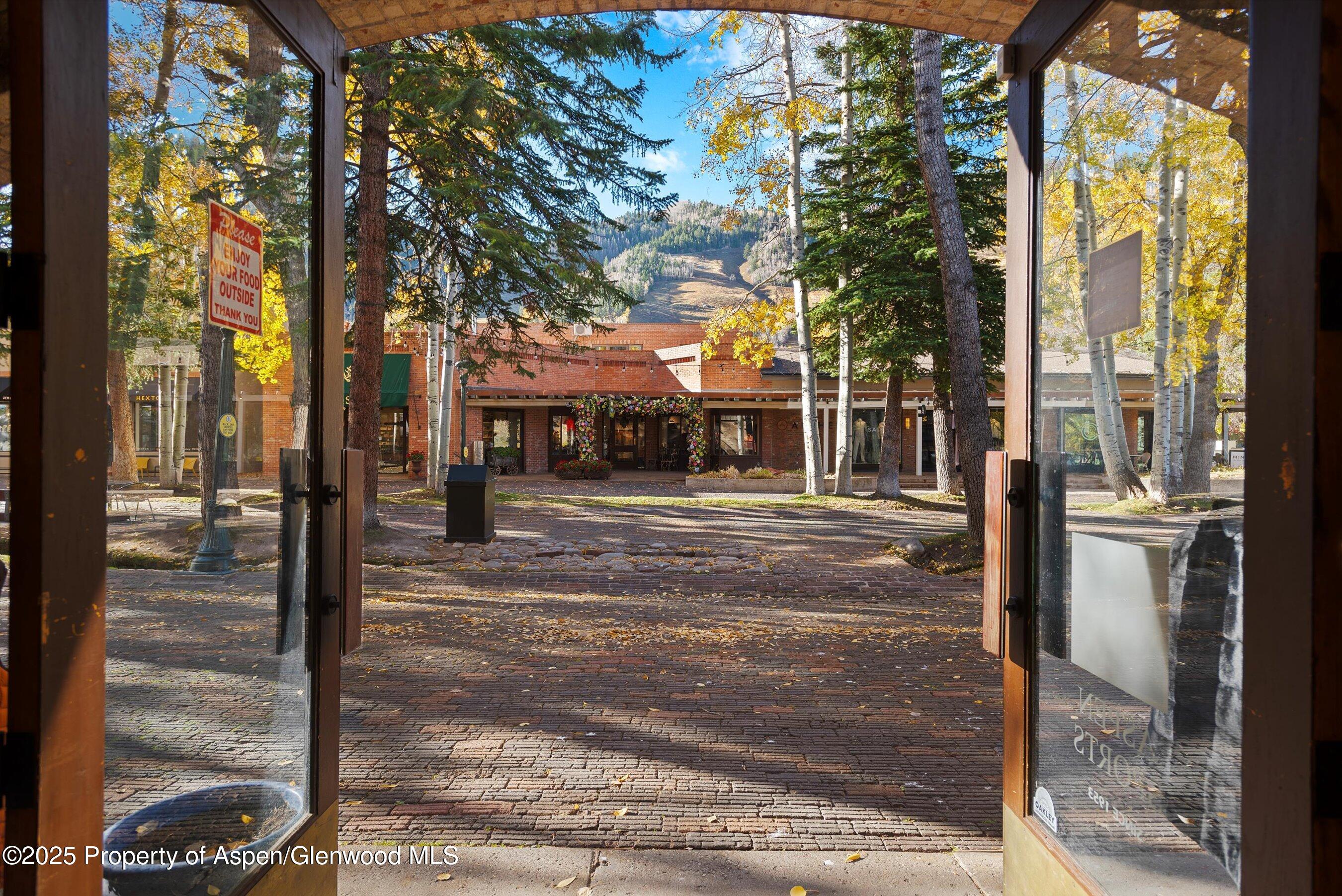 408 E Cooper Avenue Aspen CO 81611