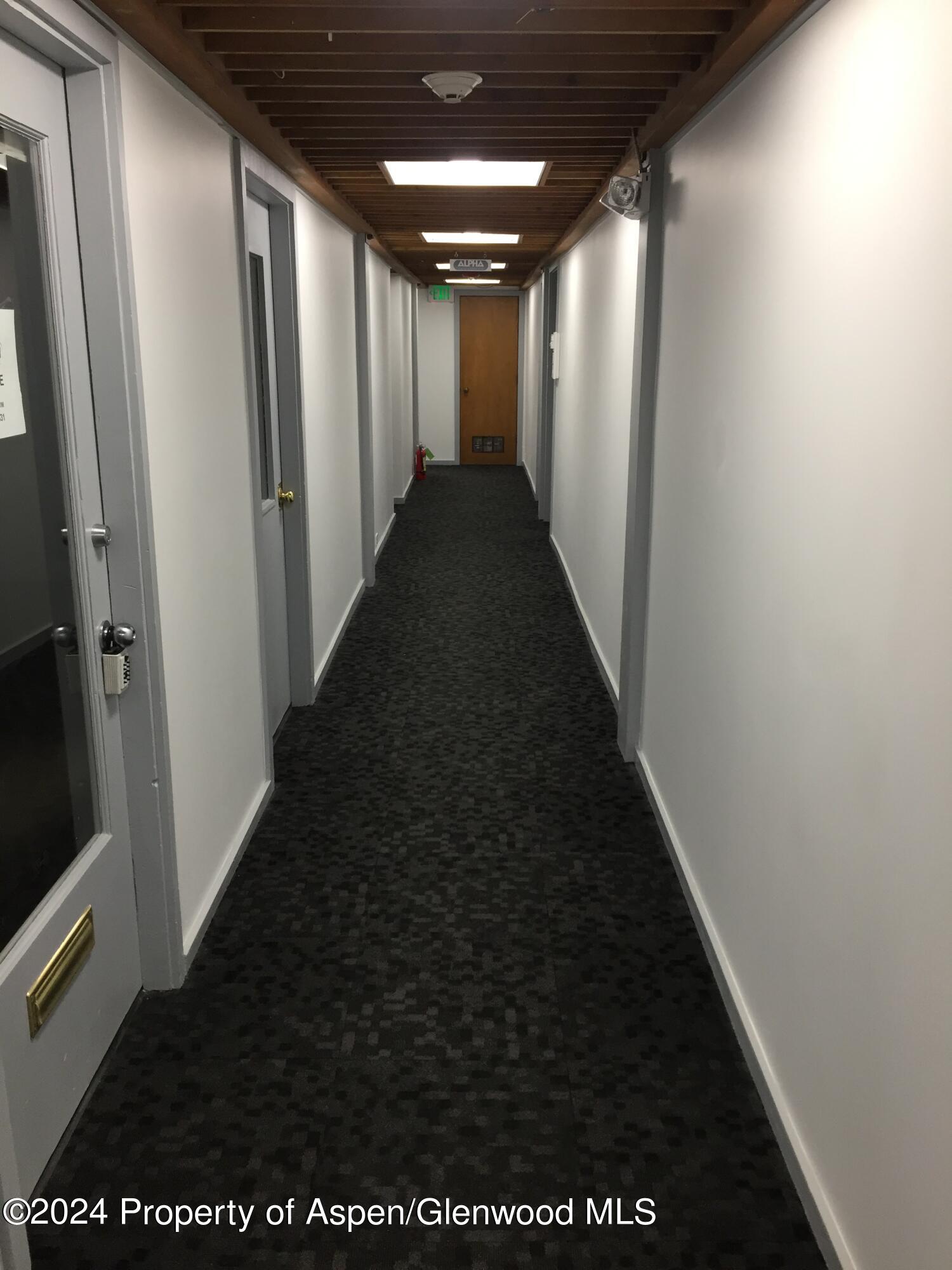 710 E Durant Avenue Aspen CO 81611