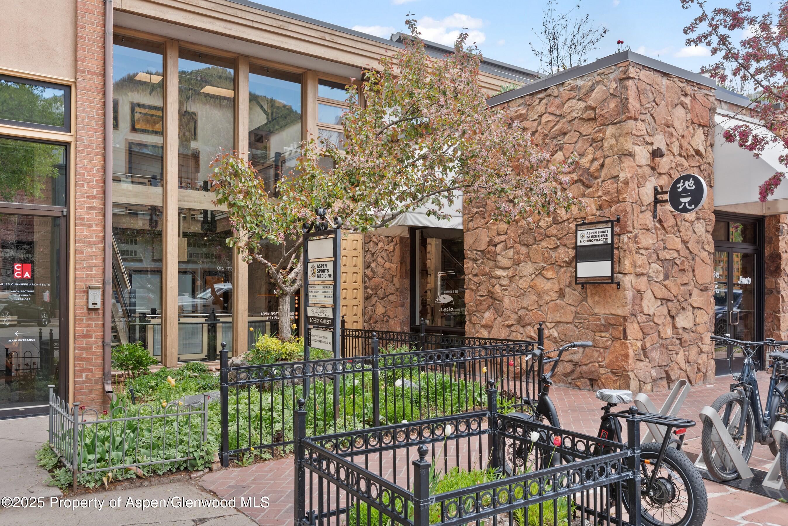 616 E Hyman Avenue Aspen CO 81611