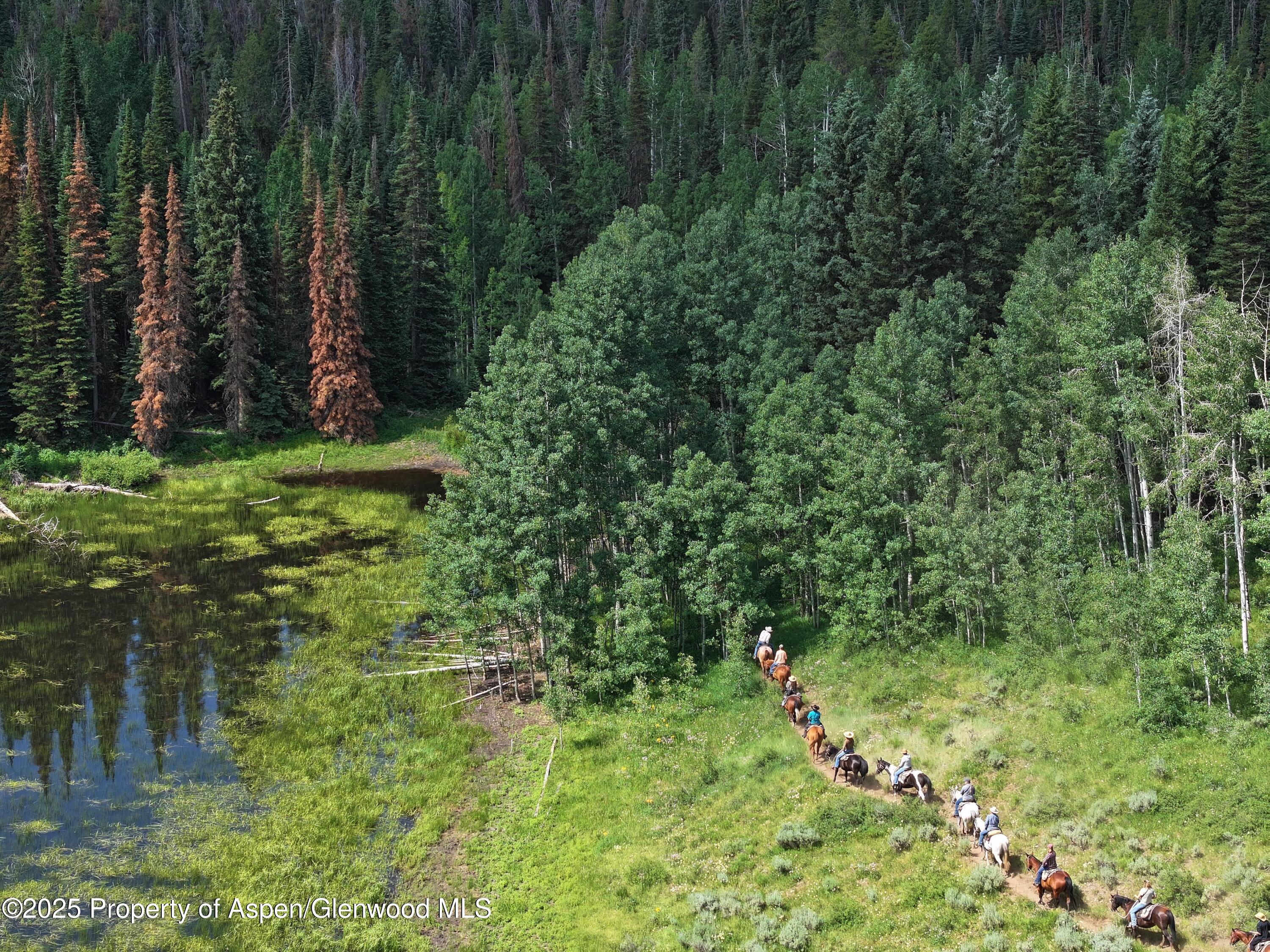 6398 County Road 4 Meeker CO 81641