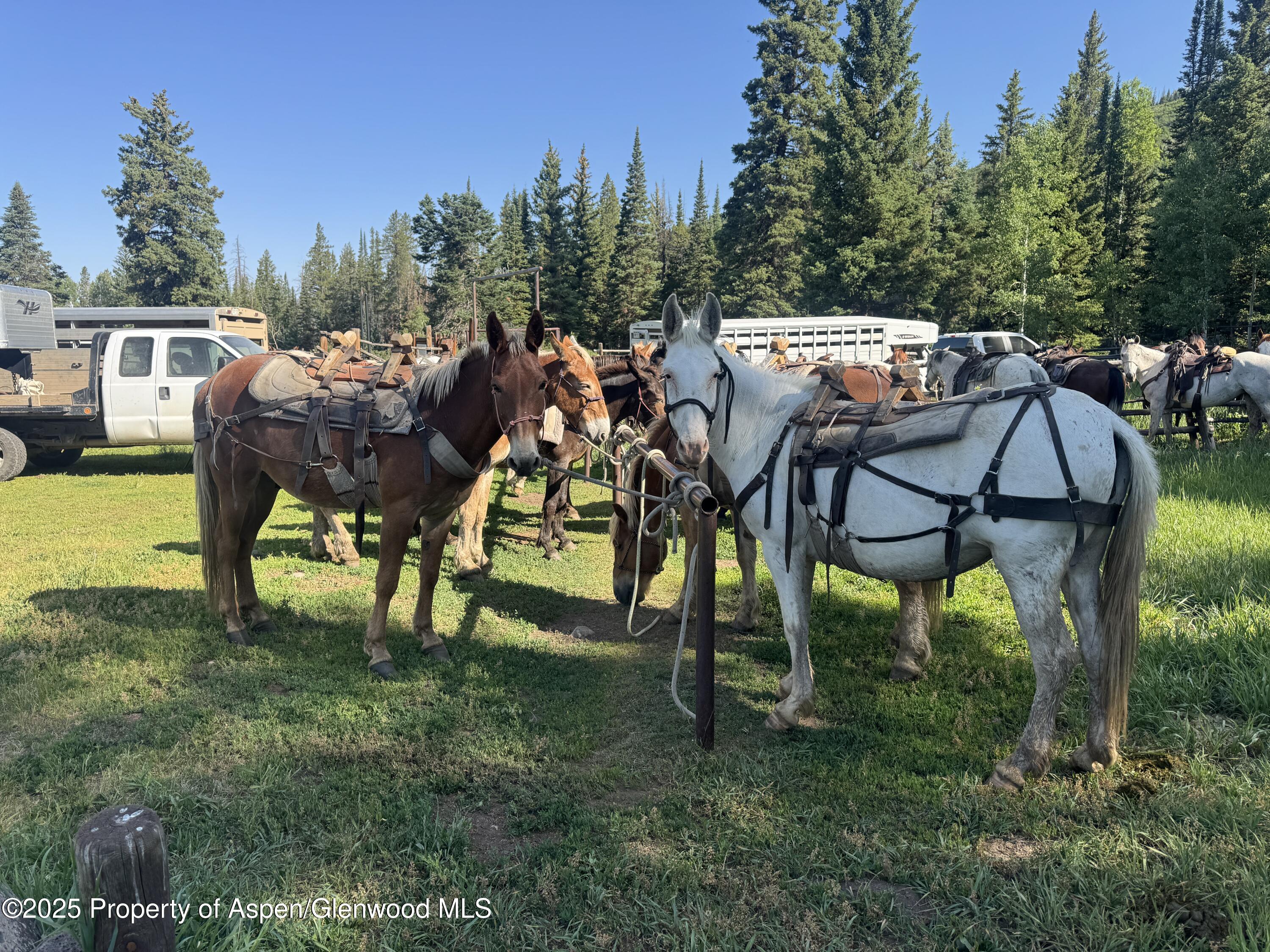 6398 County Road 4 Meeker CO 81641