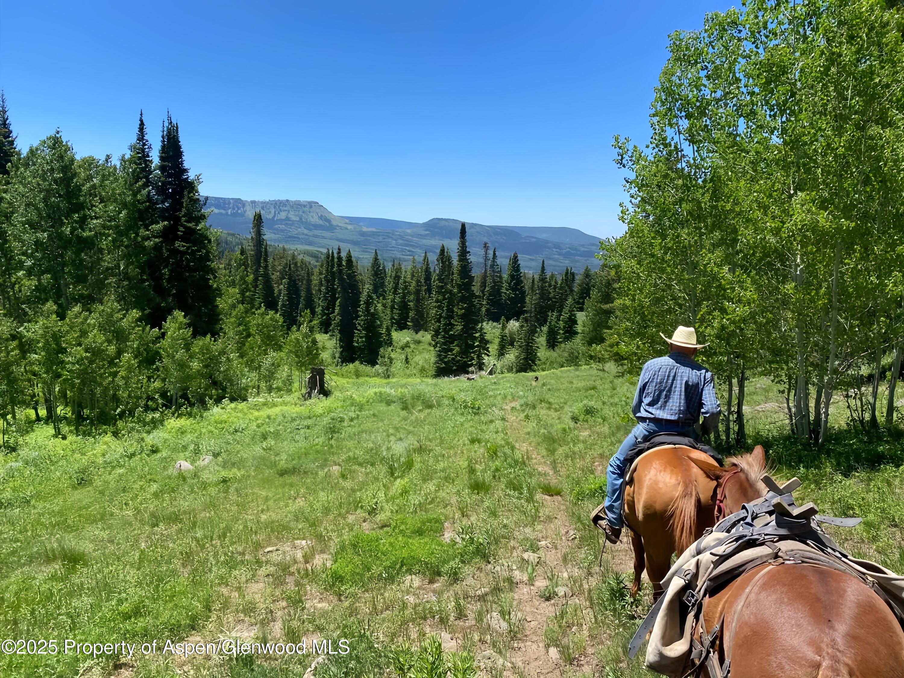 6398 County Road 4 Meeker CO 81641