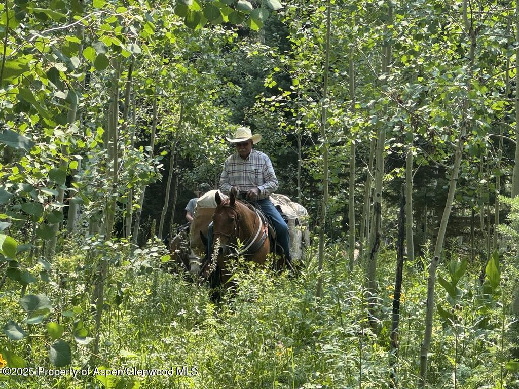 6398 County Road 4 Meeker CO 81641