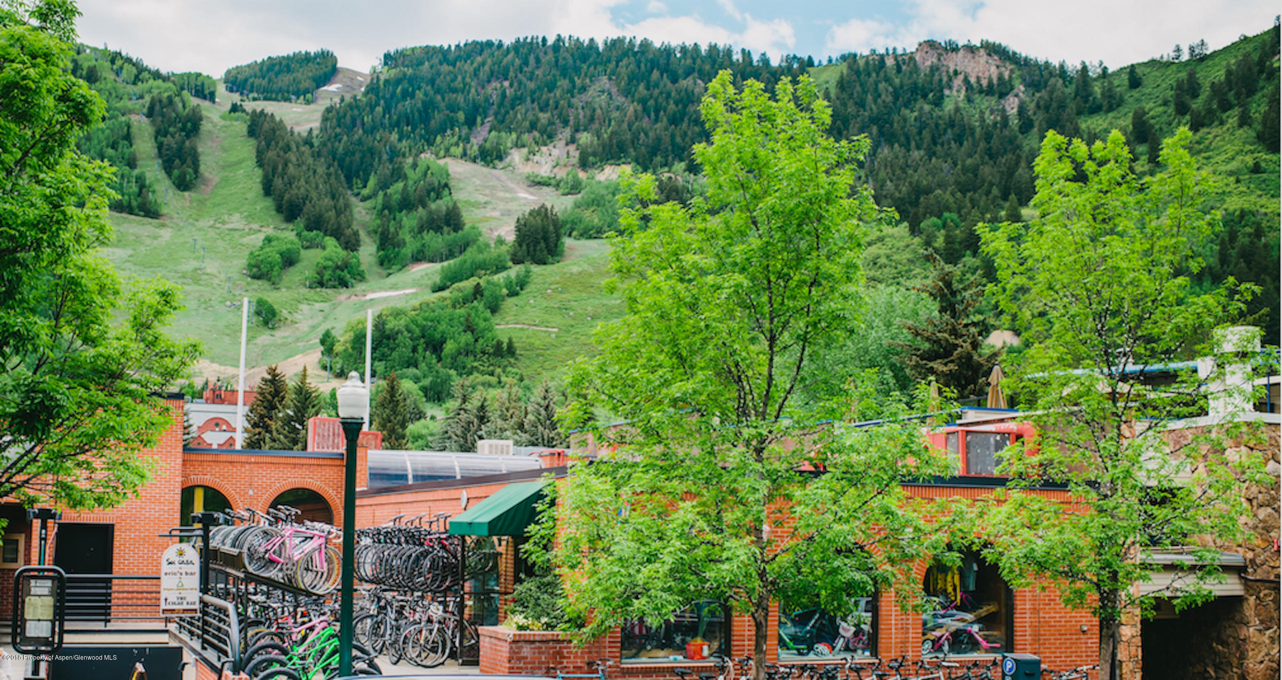 315 E Hyman Avenue Aspen CO 81611