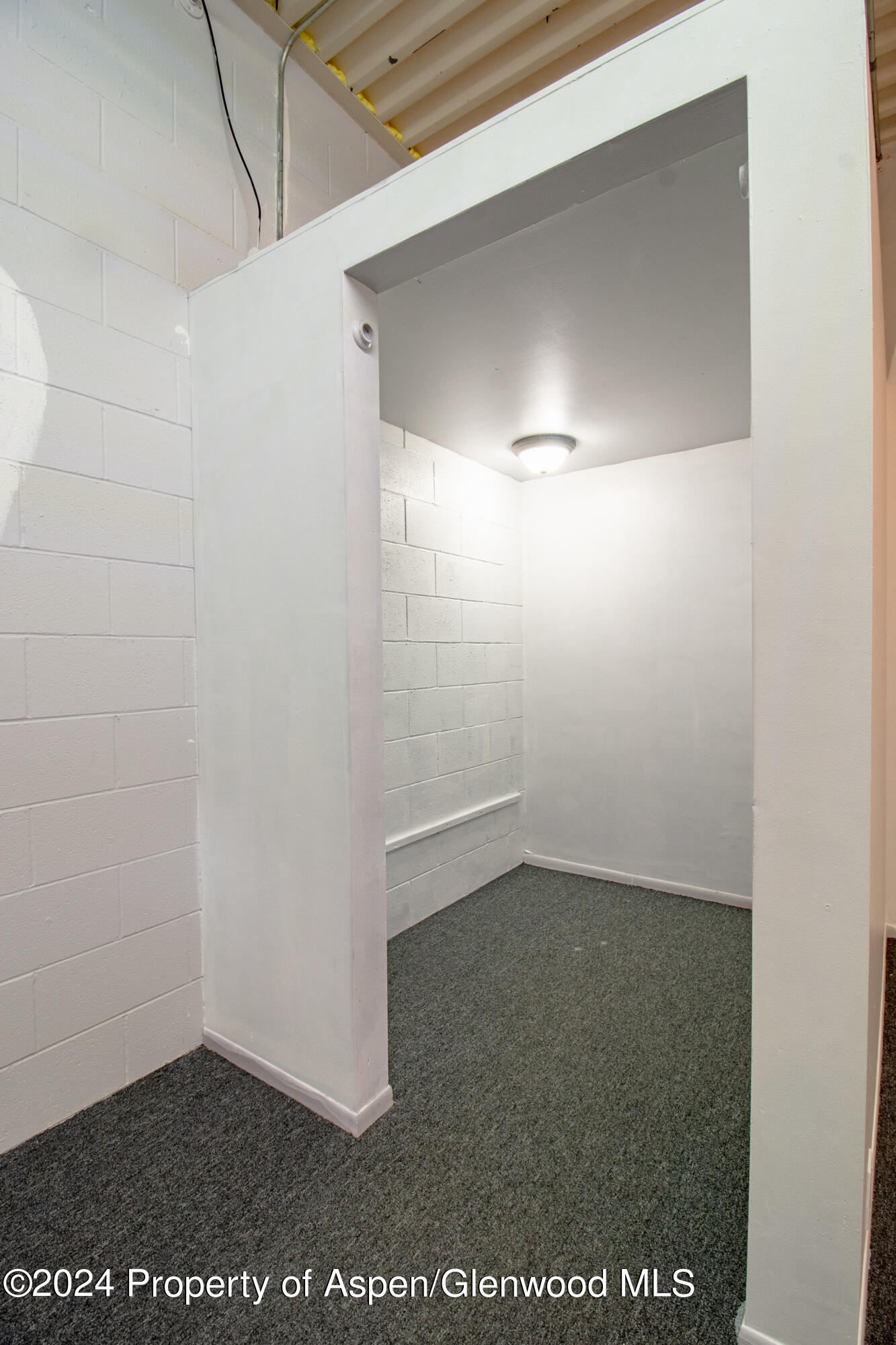 74 Sunset Drive Basalt CO 81621