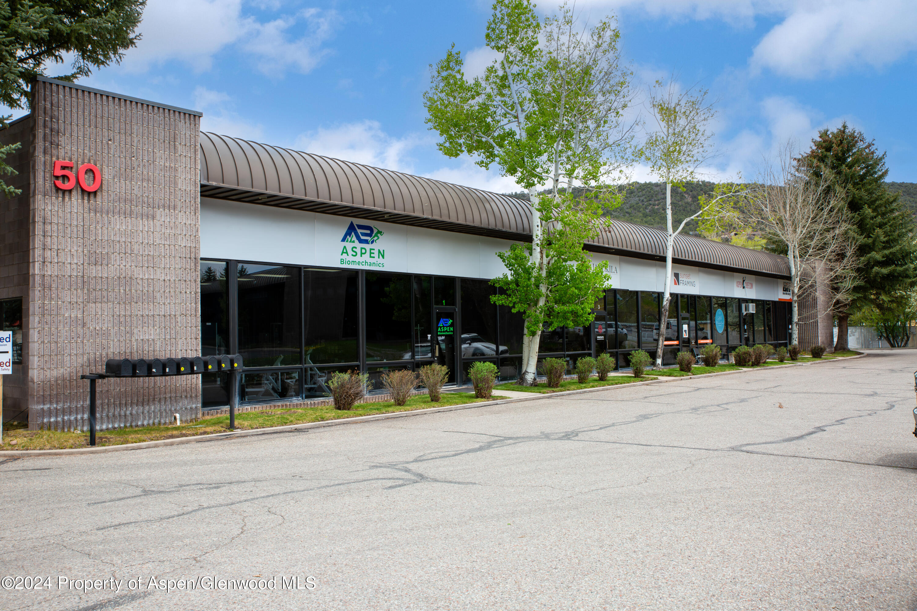 74 Sunset Drive Basalt CO 81621