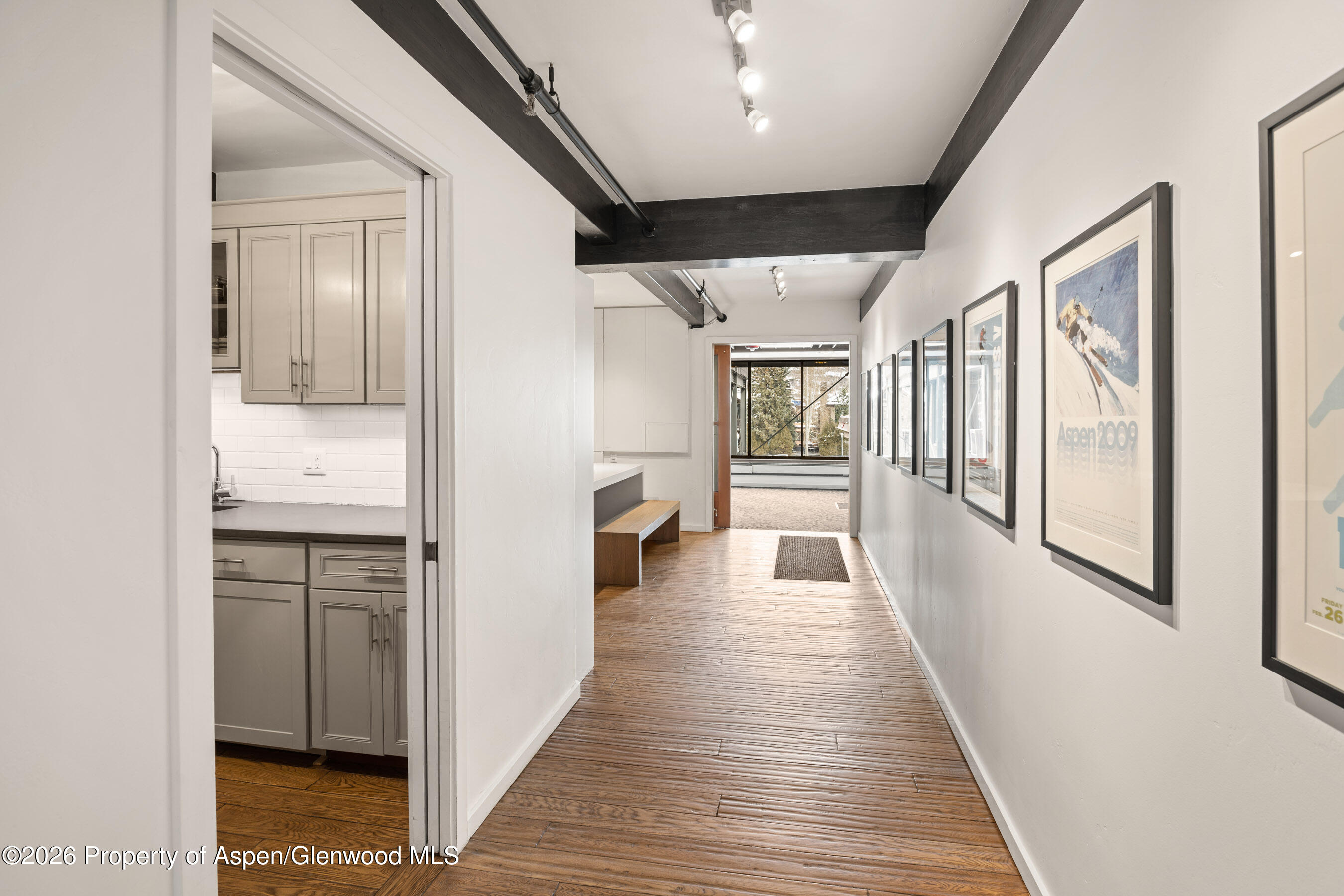 710 E Durant Avenue Aspen CO 81611