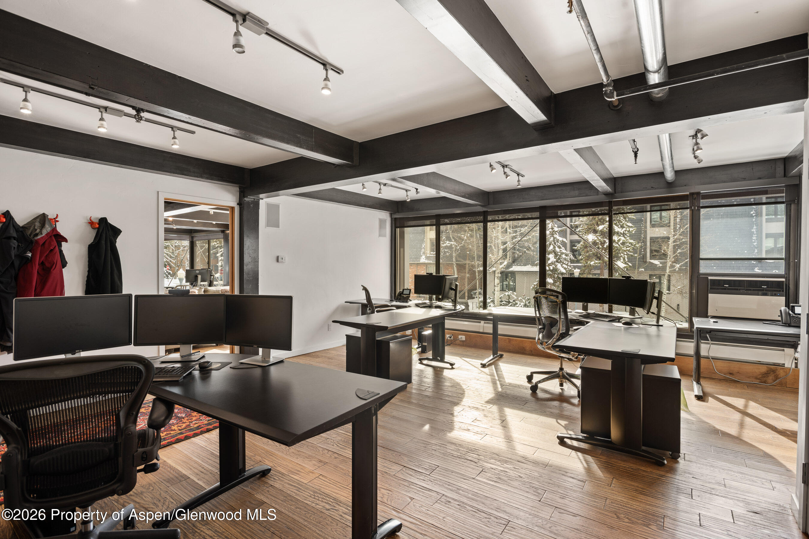 710 E Durant Avenue Aspen CO 81611