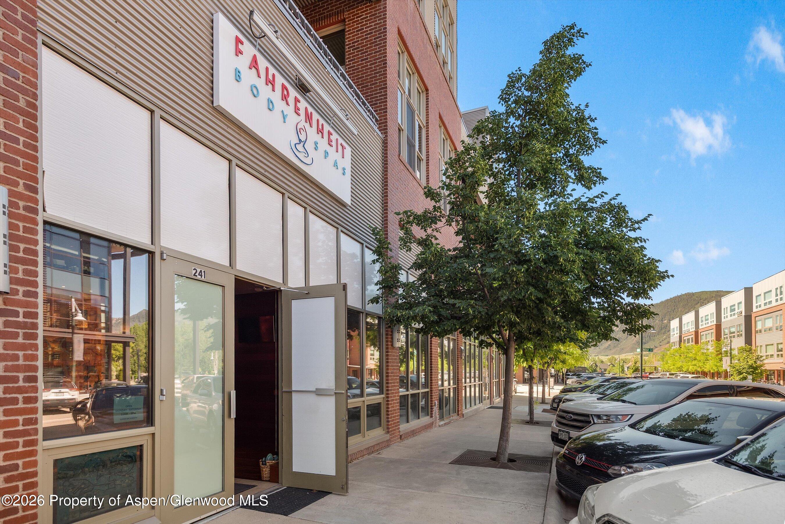 241 Robinson Street Basalt CO 81621