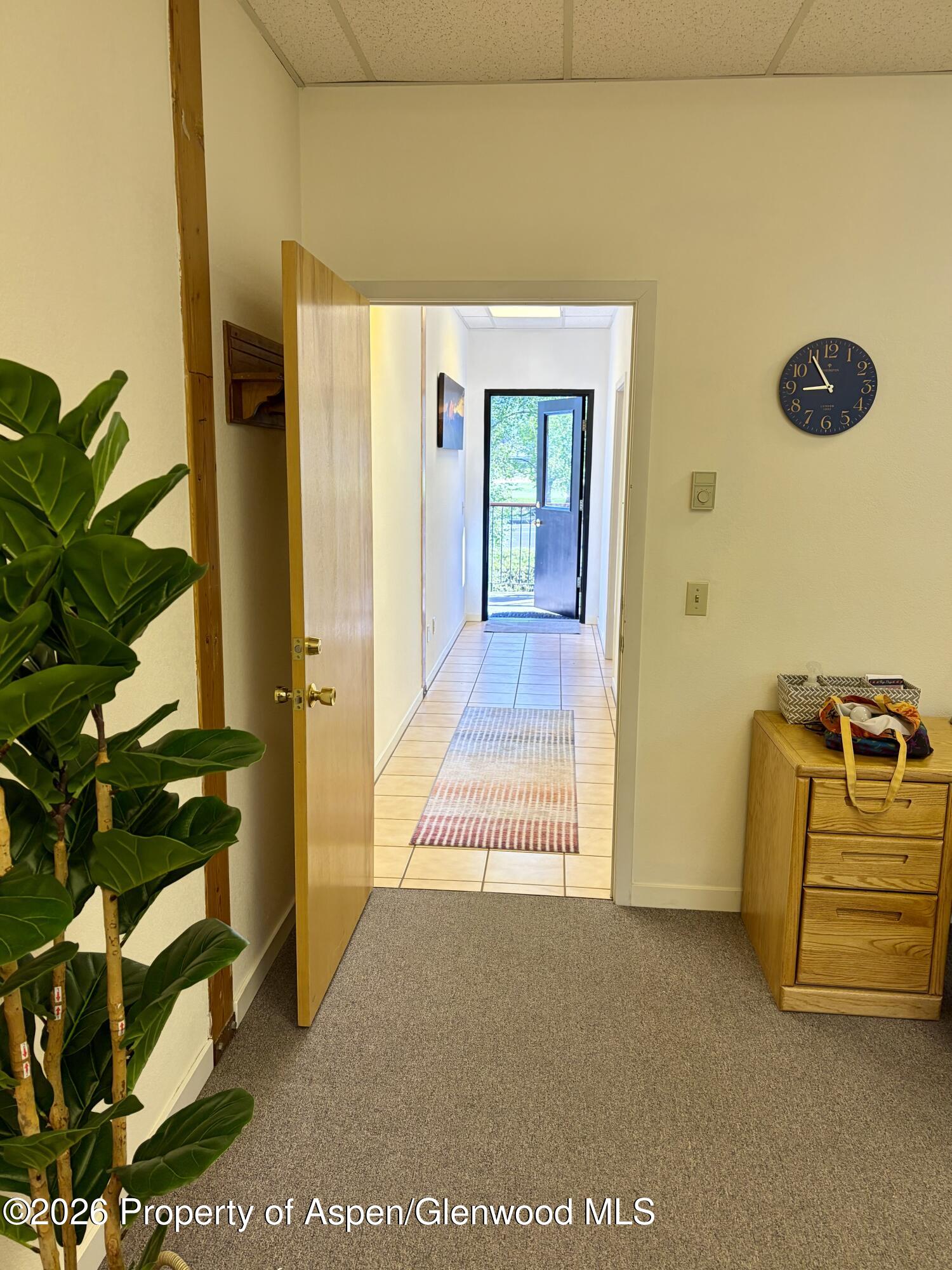 23286 Two Rivers Road Basalt CO 81621