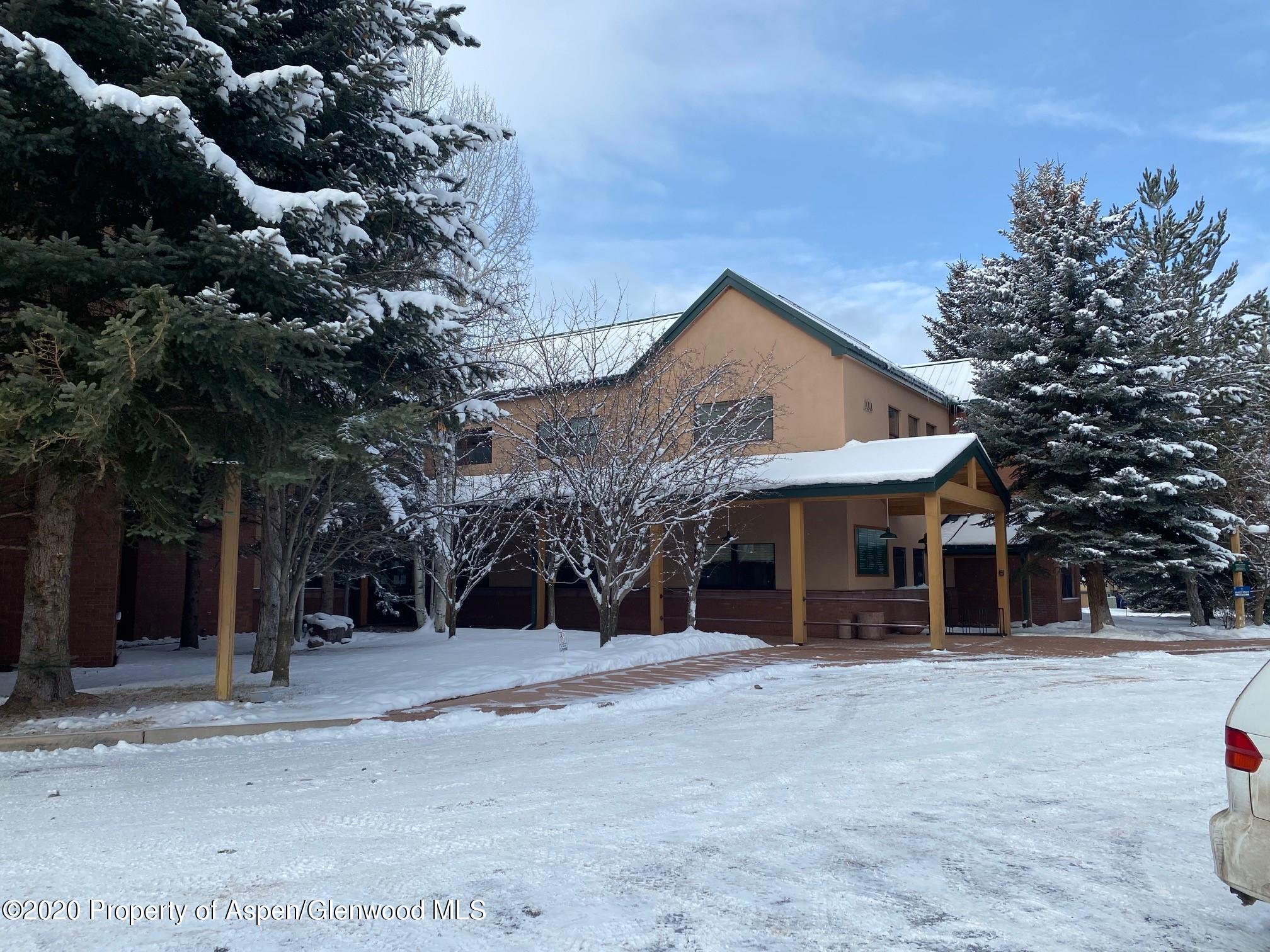 100 Elk Run Drive Basalt CO 81621