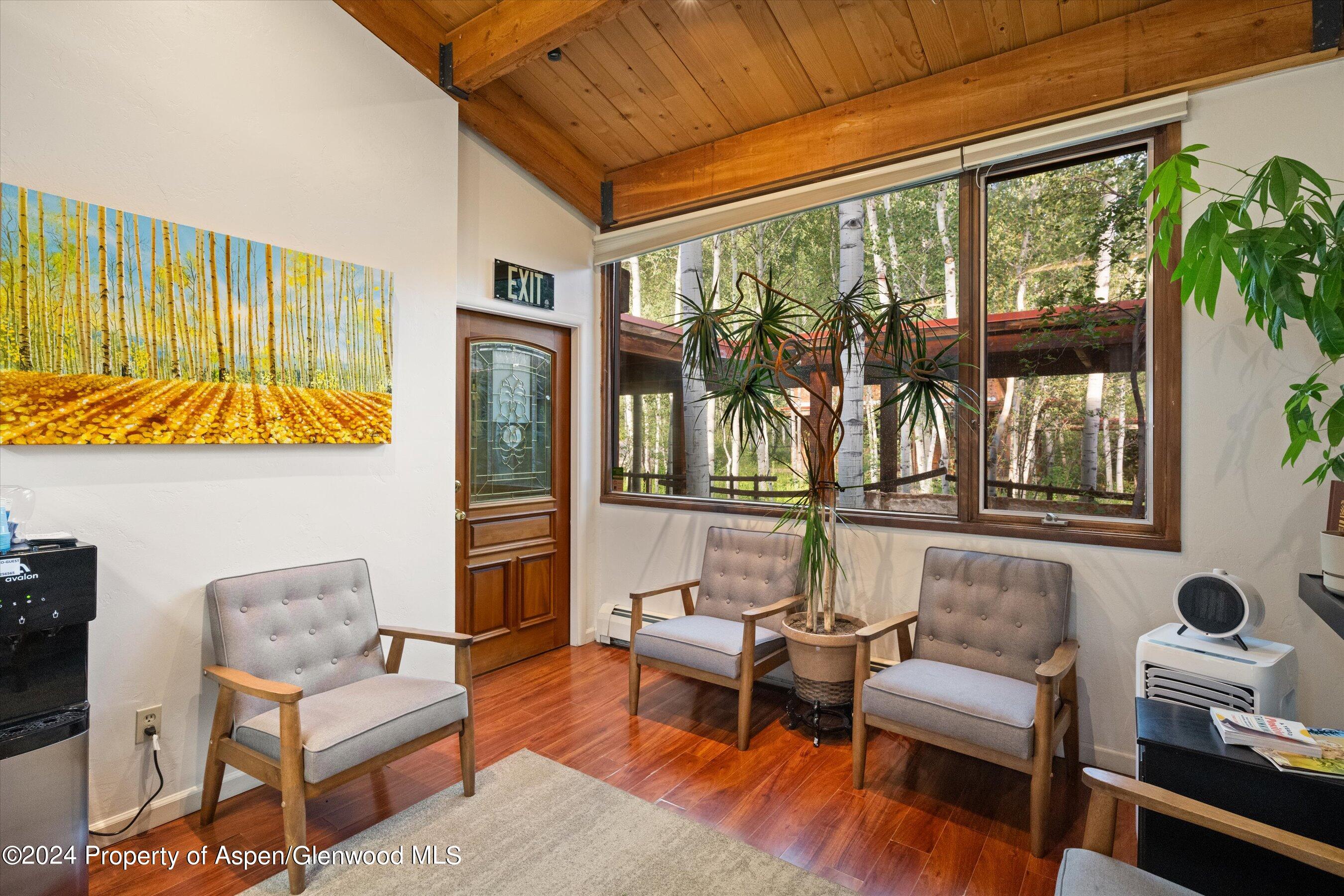 1280 Ute Avenue Aspen CO 81611