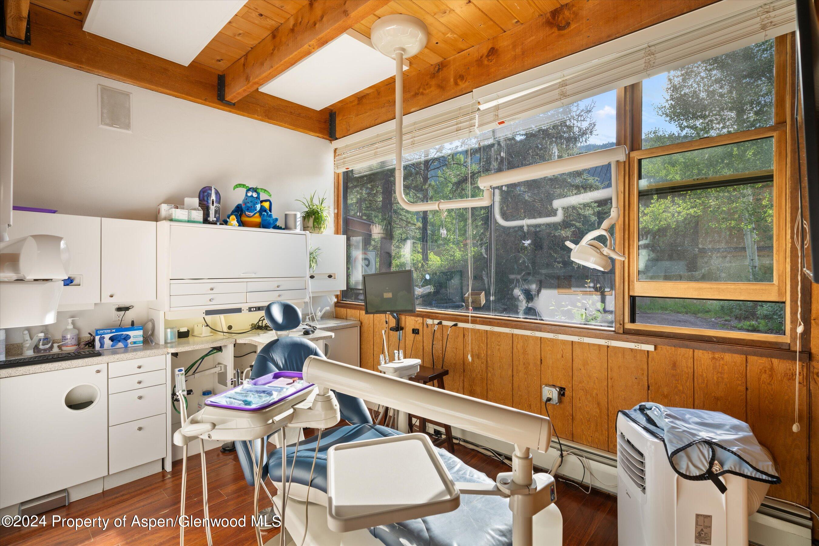 1280 Ute Avenue Aspen CO 81611