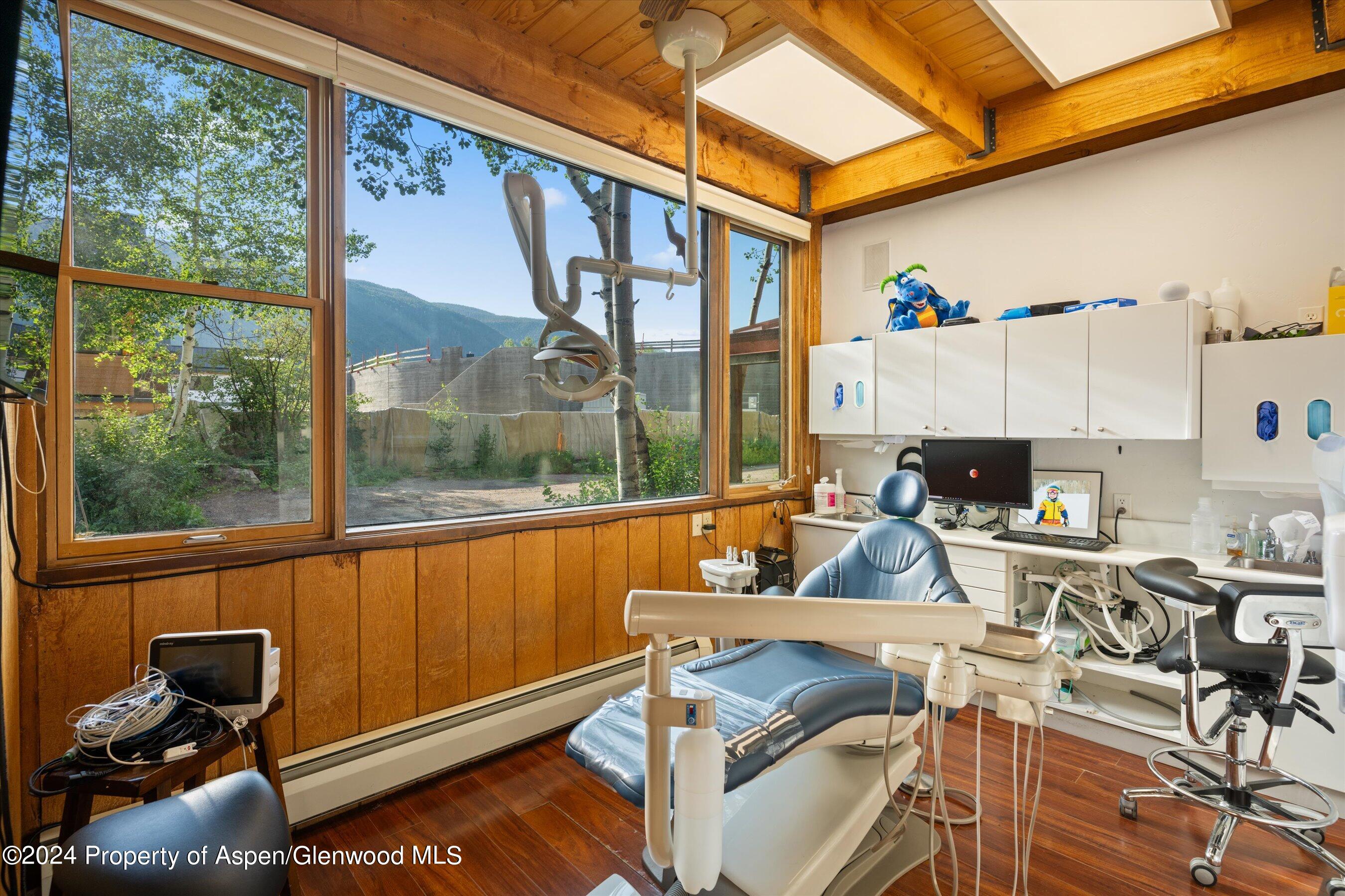 1280 Ute Avenue Aspen CO 81611