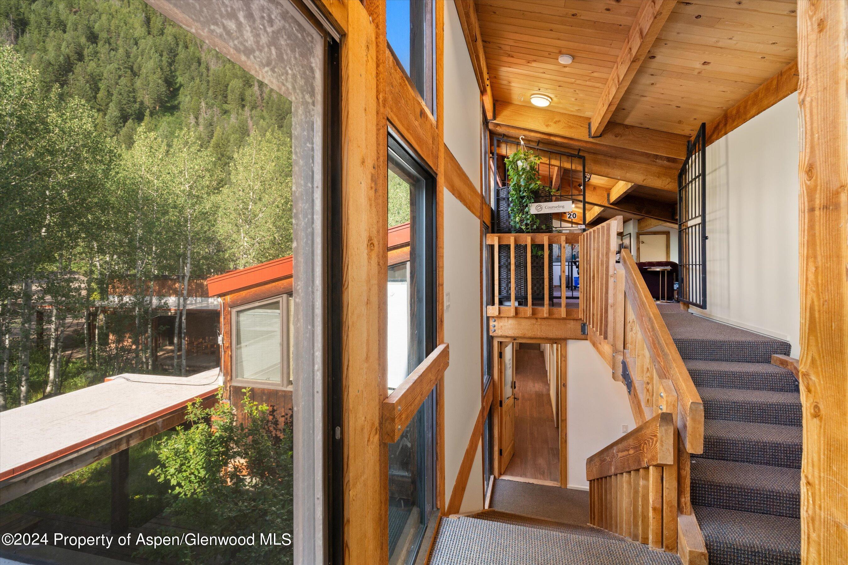 1280 Ute Avenue Aspen CO 81611