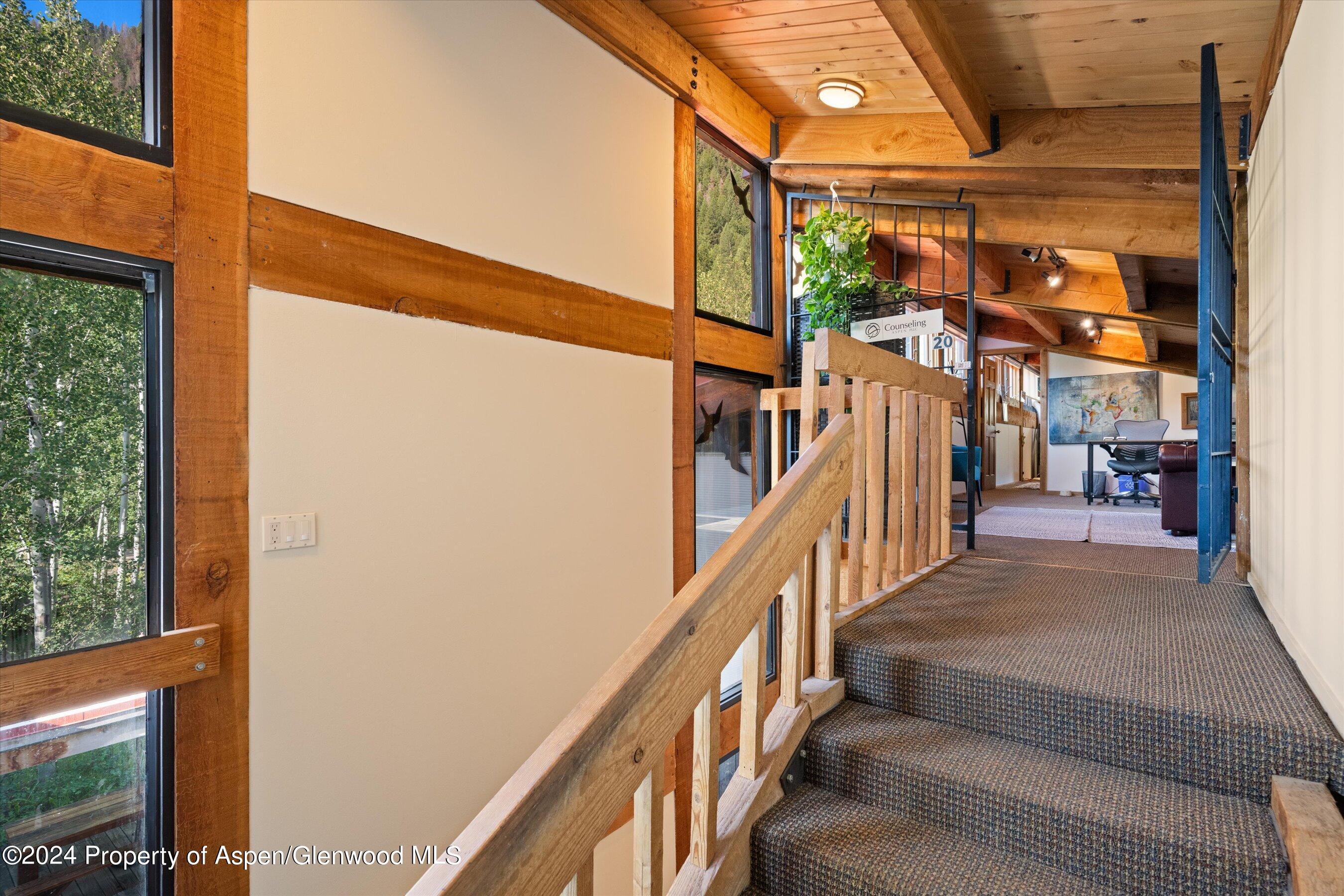 1280 Ute Avenue Aspen CO 81611