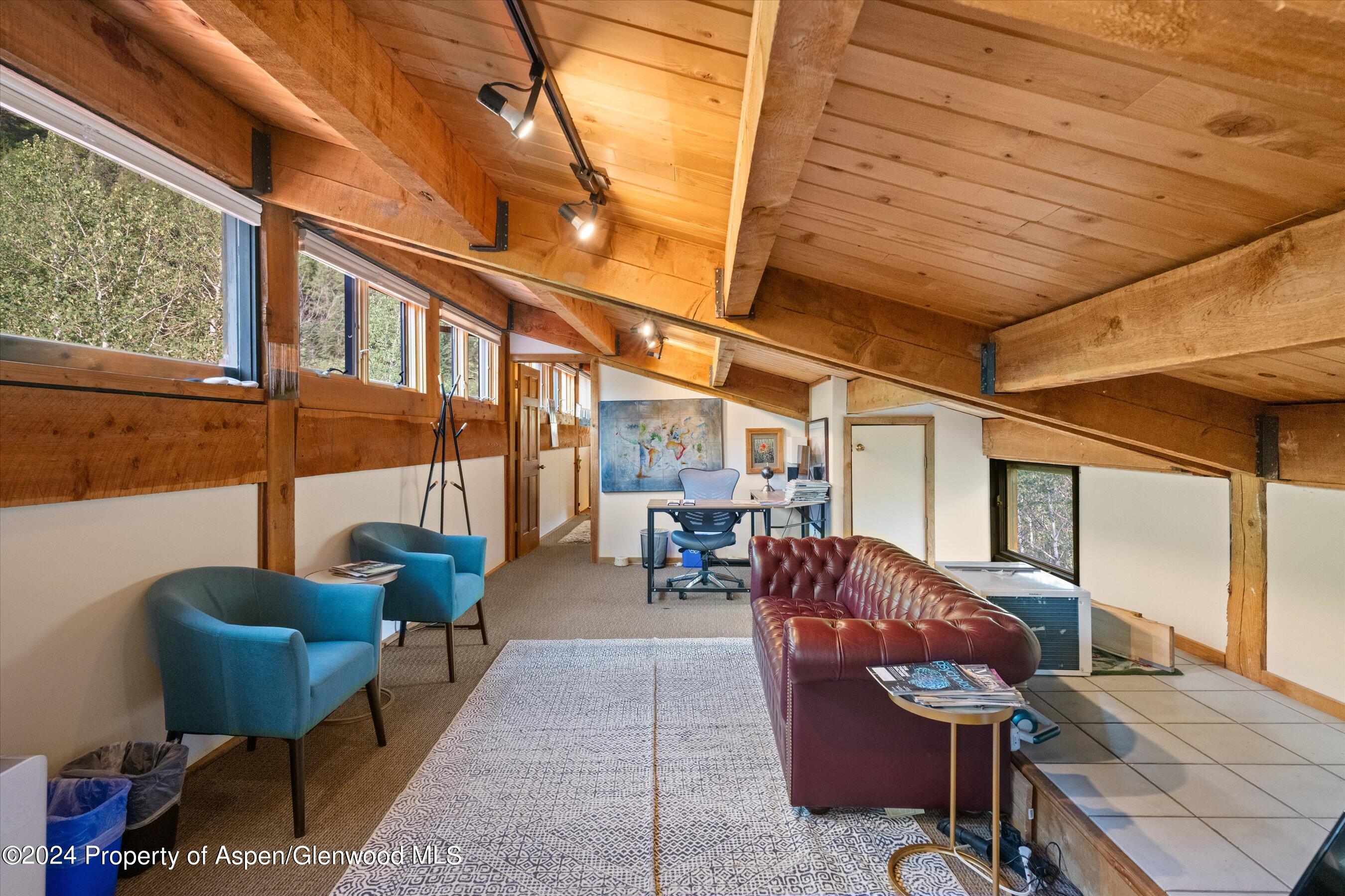 1280 Ute Avenue Aspen CO 81611