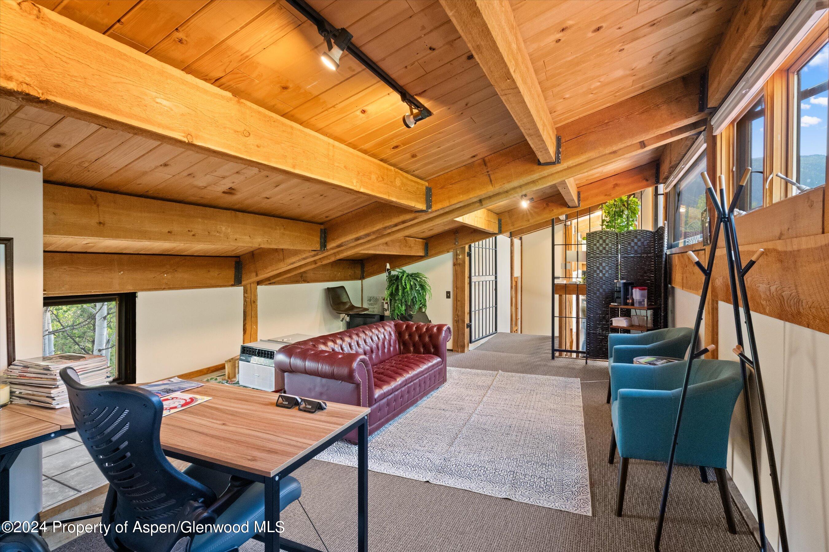 1280 Ute Avenue Aspen CO 81611