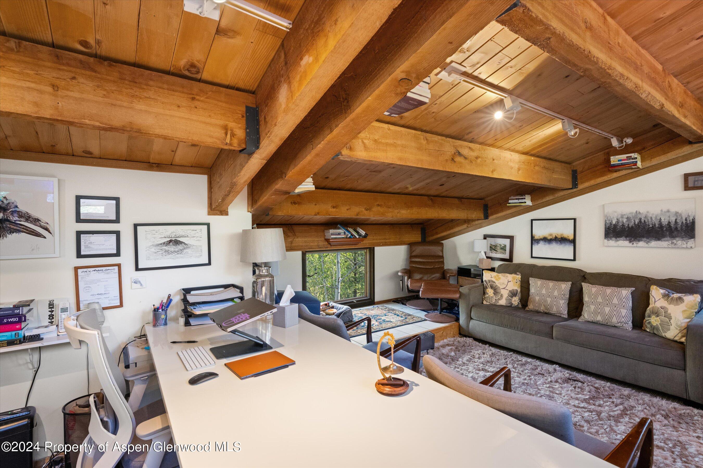 1280 Ute Avenue Aspen CO 81611