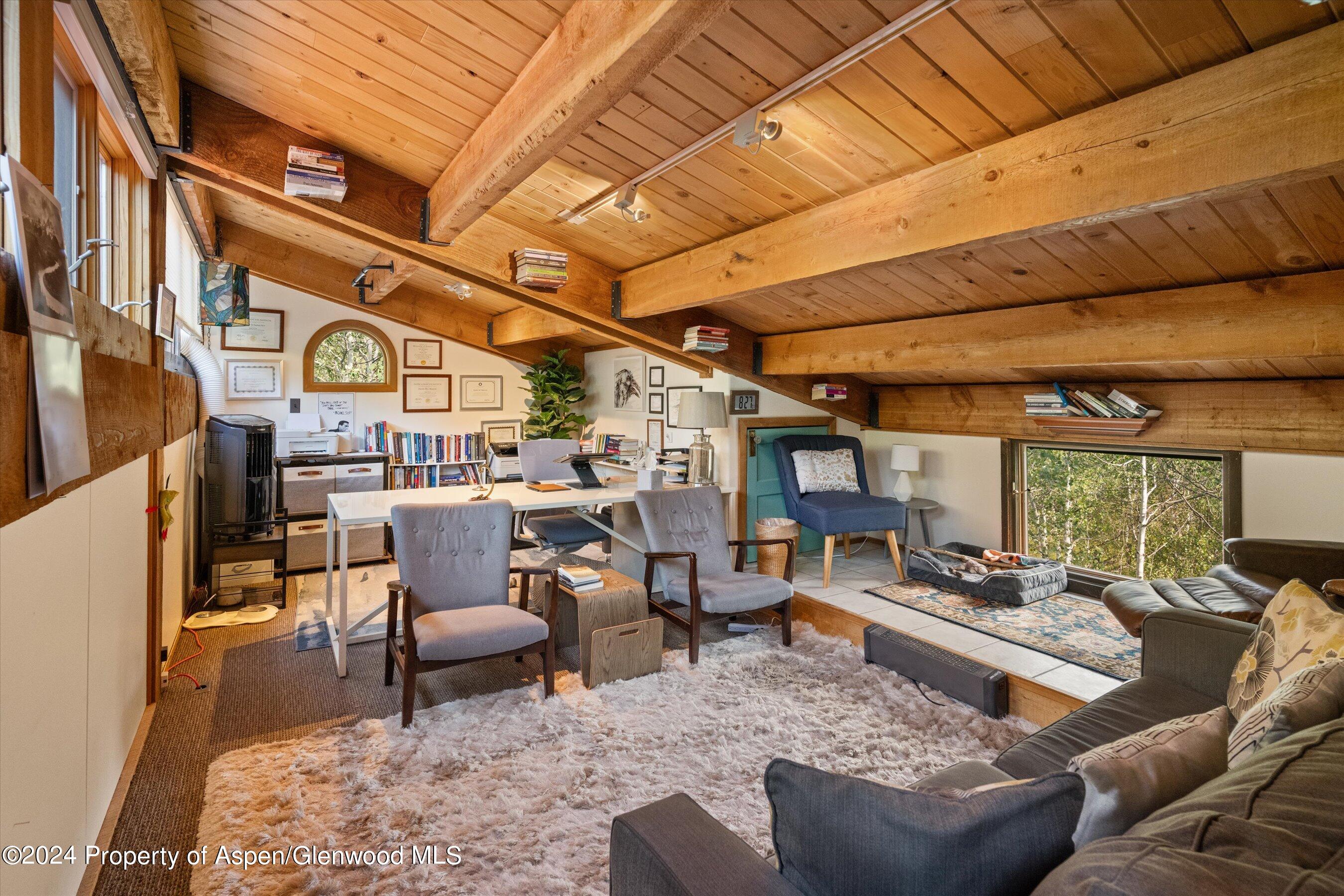 1280 Ute Avenue Aspen CO 81611