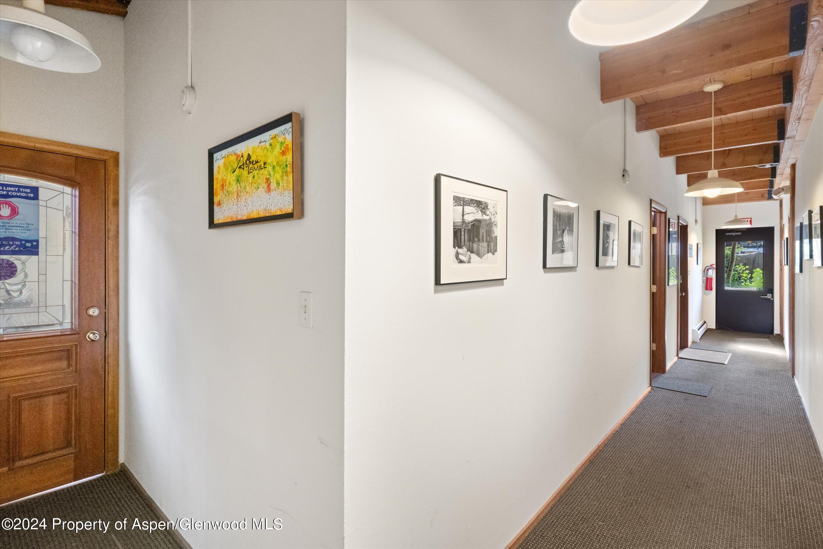 1280 Ute Avenue Aspen CO 81611