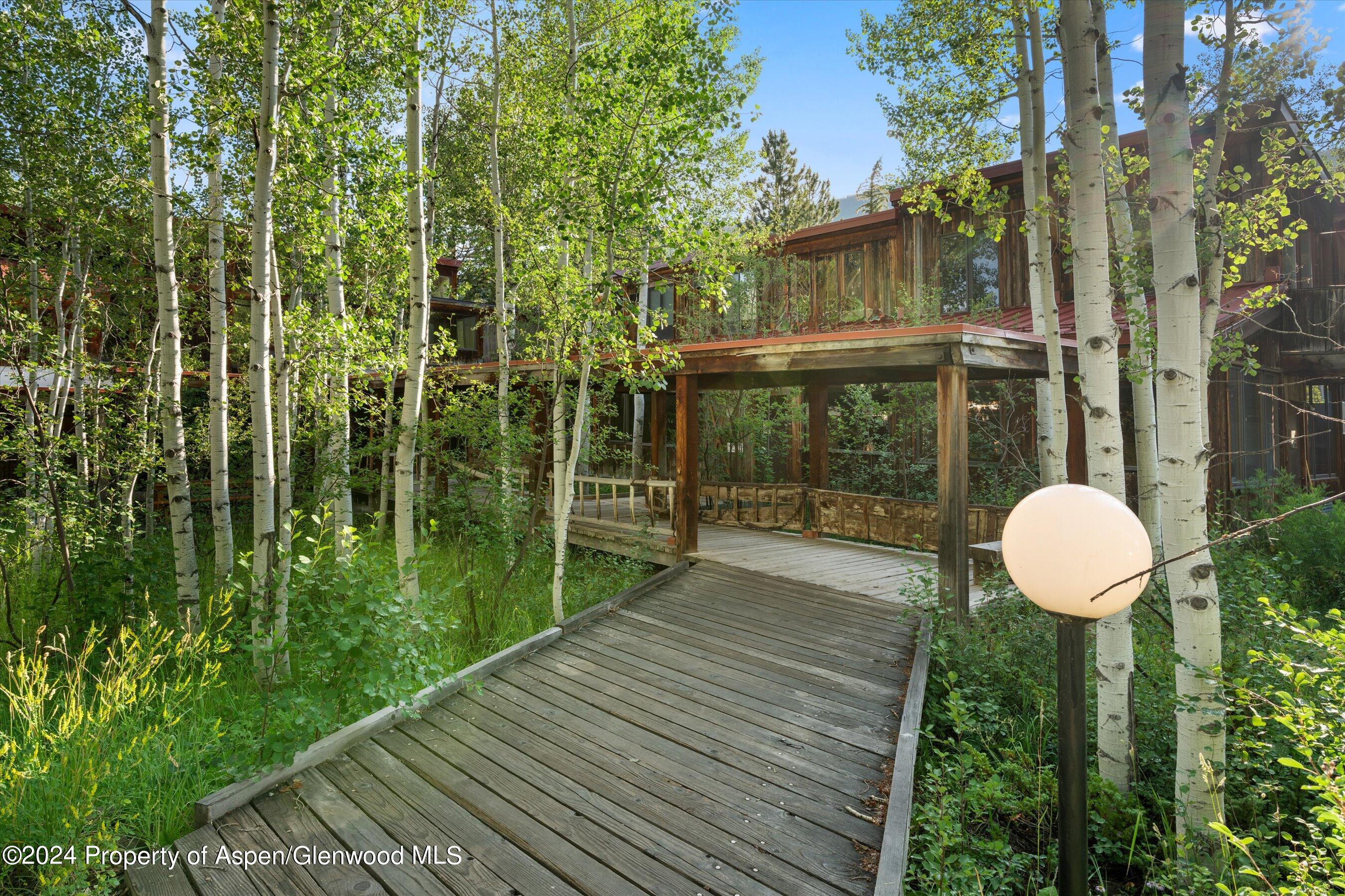 1280 Ute Avenue Aspen CO 81611