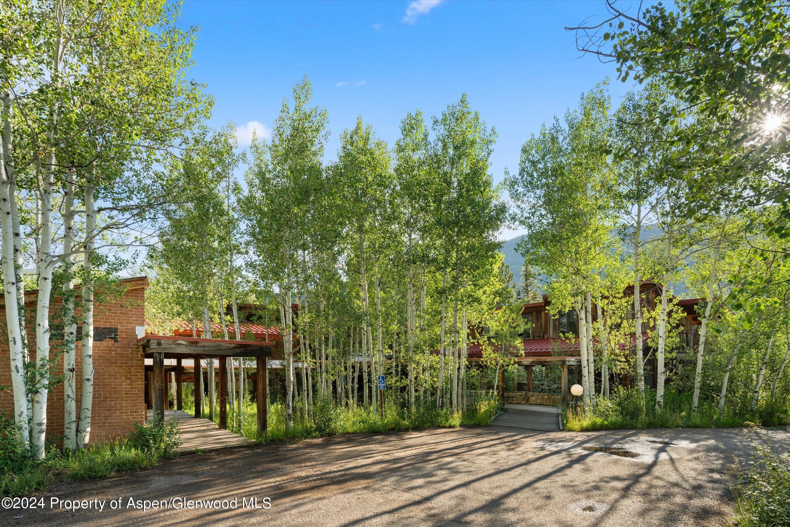 1280 Ute Avenue Aspen CO 81611