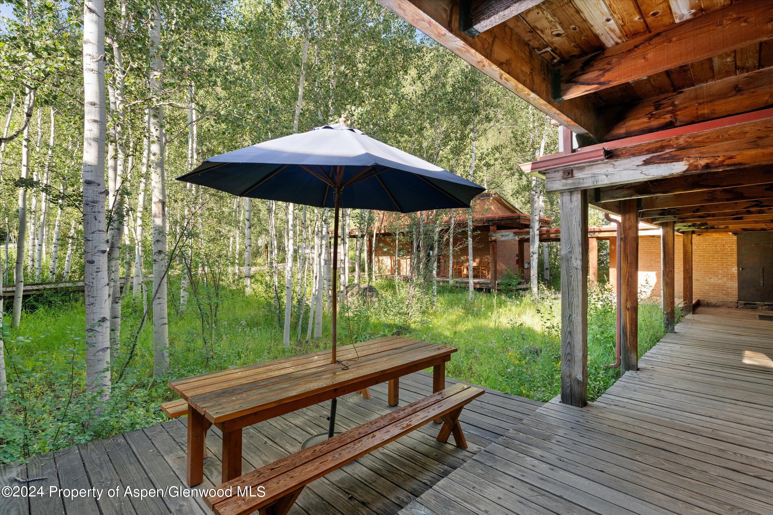 1280 Ute Avenue Aspen CO 81611